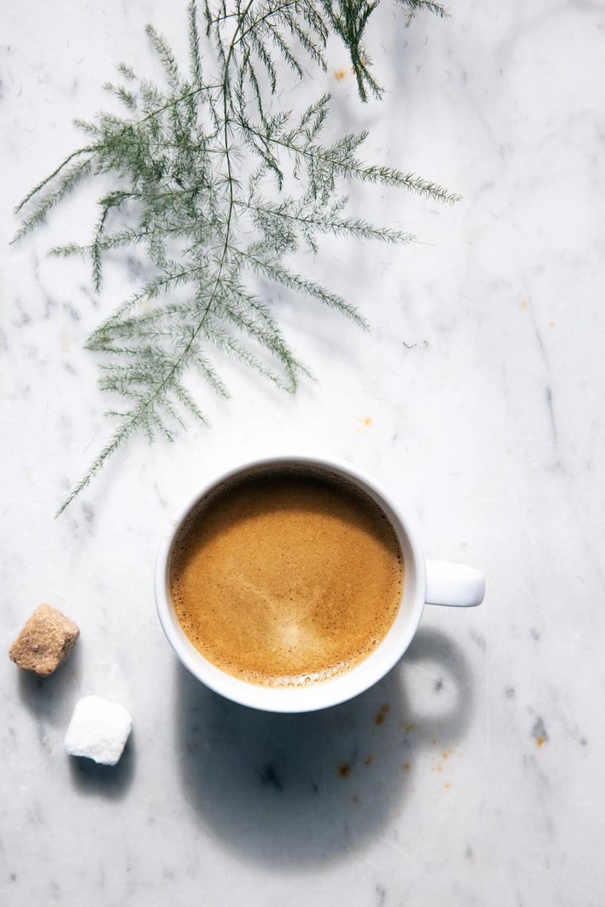 Lounge or bar in Hôtel La Villefromoy