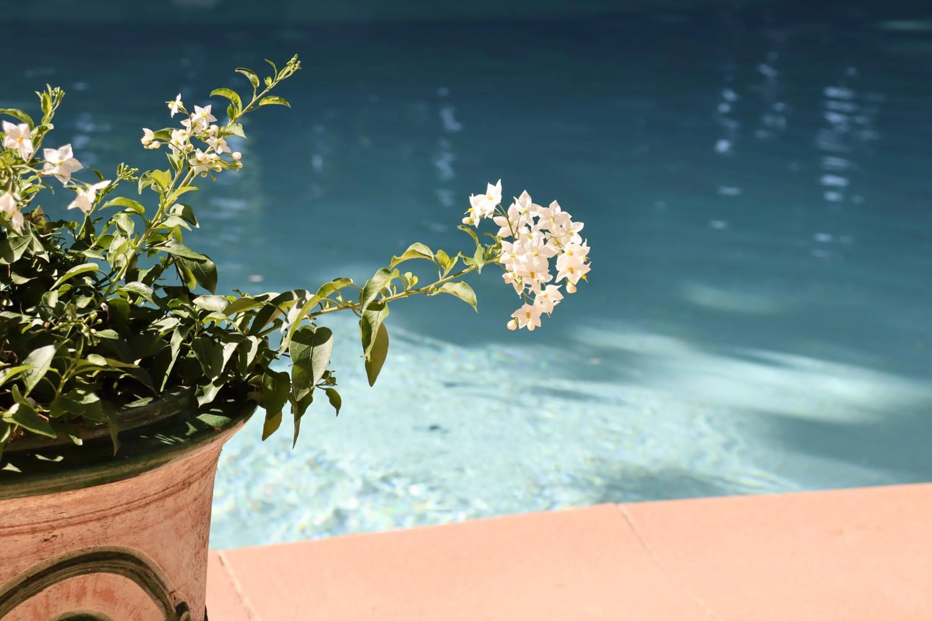 Hôtel Le Pré Galoffre