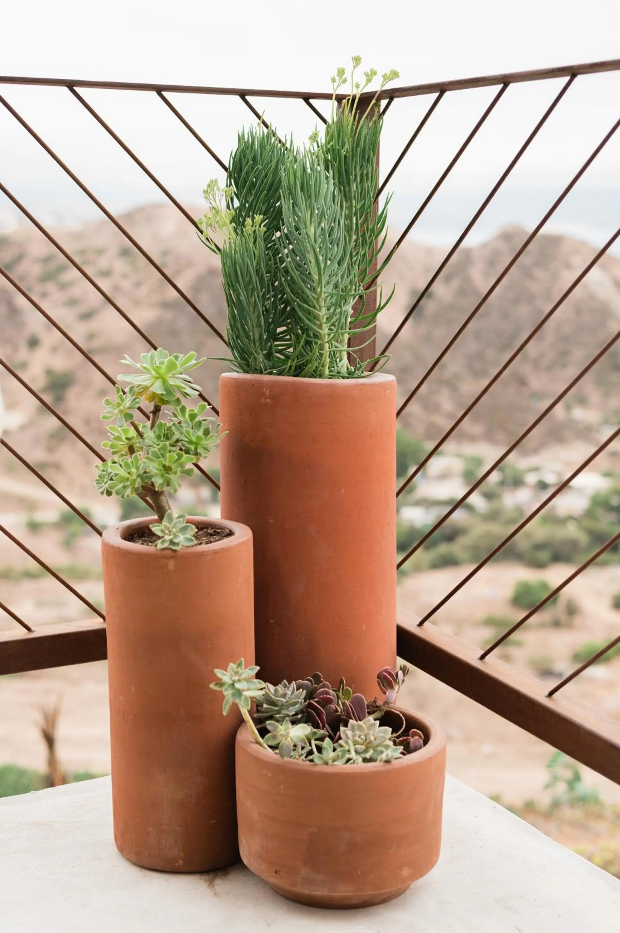 Decorative detail in Native Residence