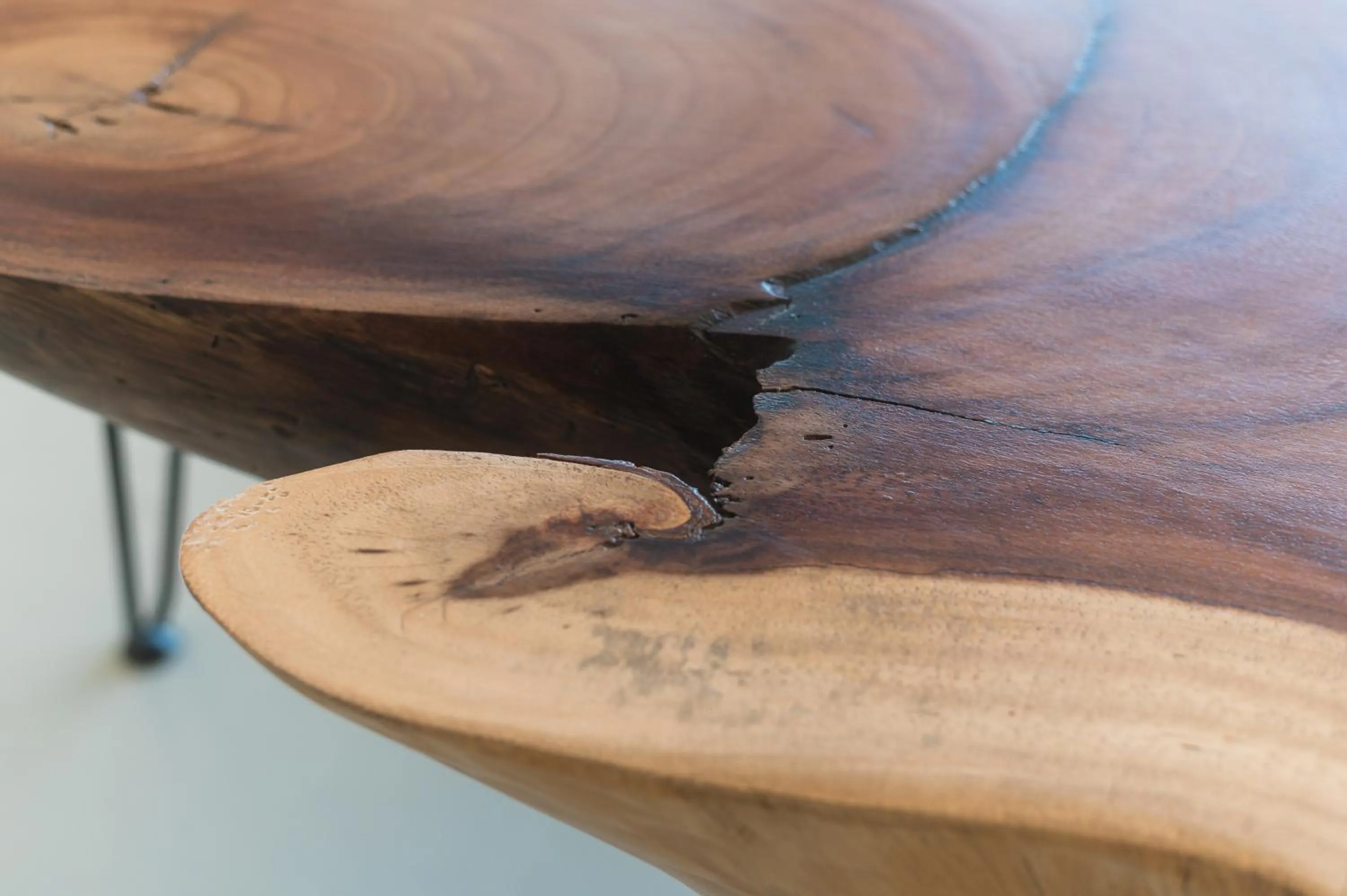 Decorative detail in Native Residence