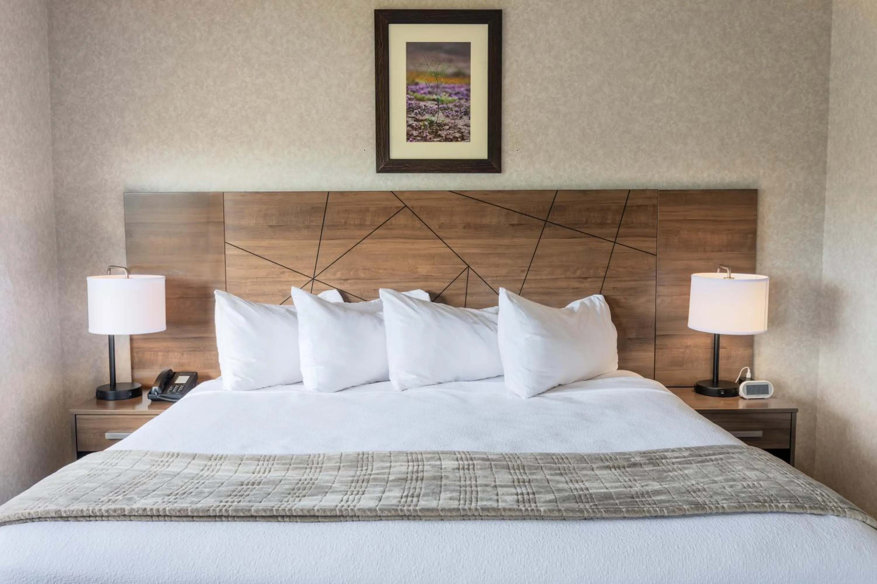 Photo of the whole room in Red Sands Hotel