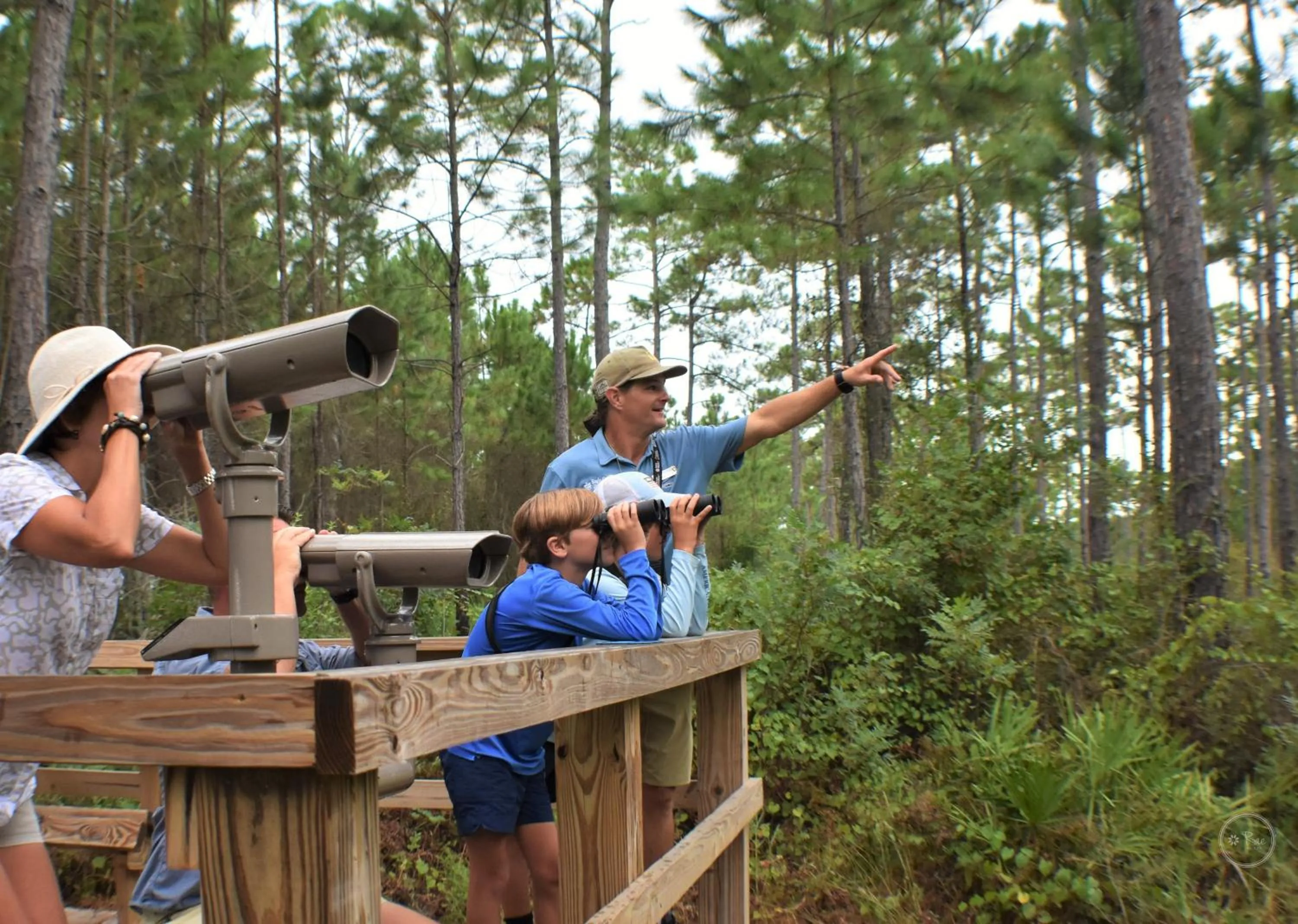 Natural landscape in Eagle Cottages at Gulf State Park