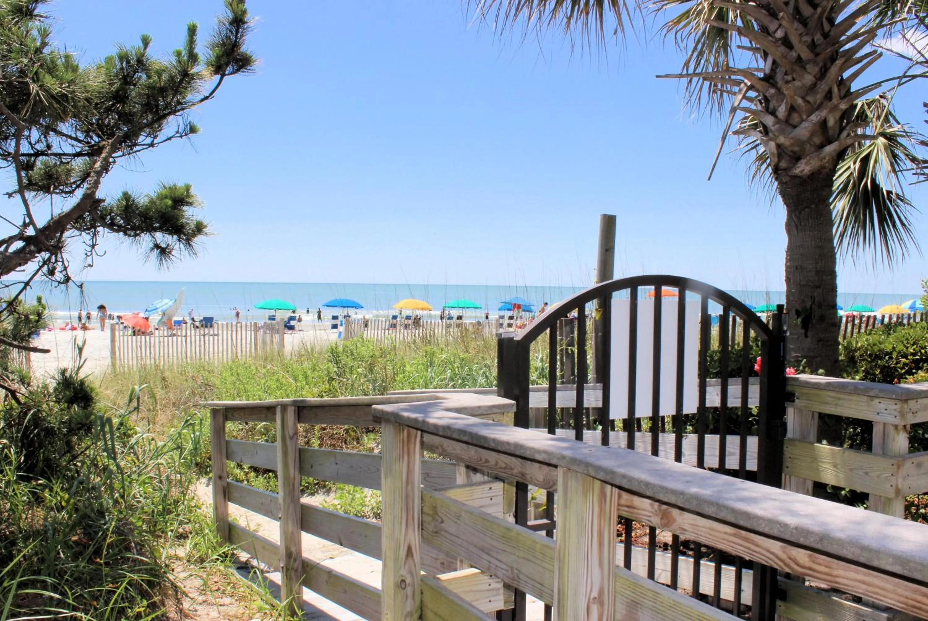 Beach in Beach Daze Oceanfront Great Location