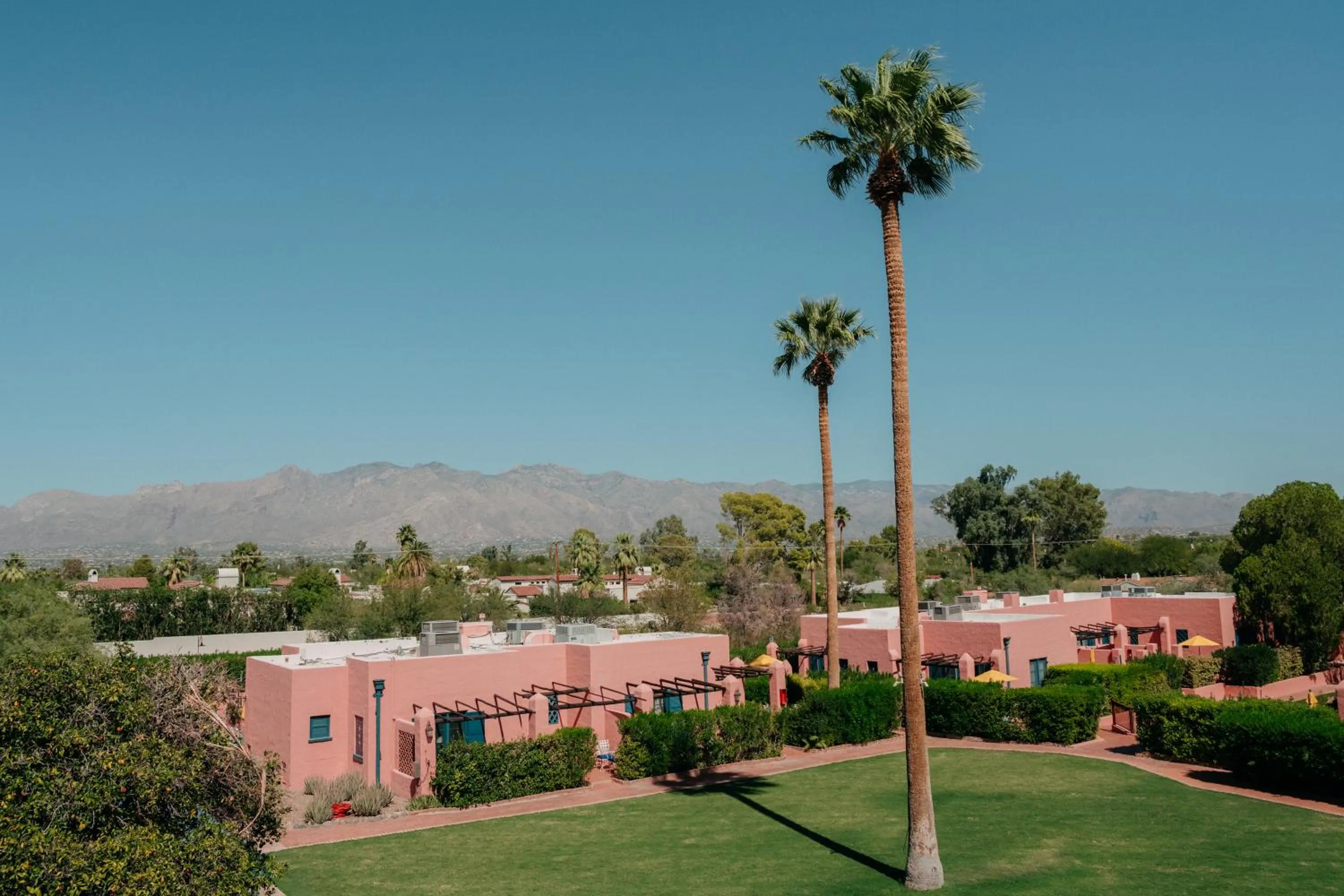 Natural landscape in Arizona Inn