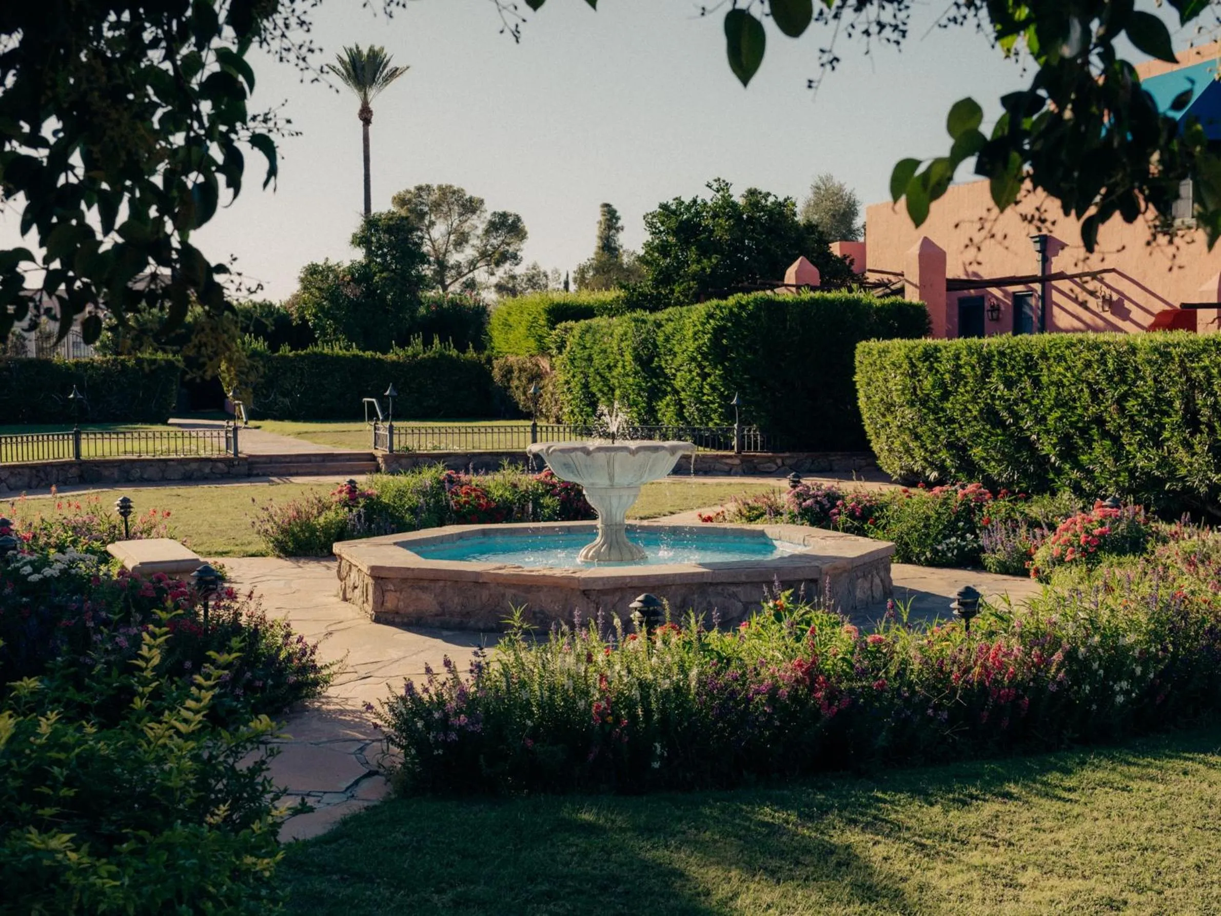 Garden in Arizona Inn