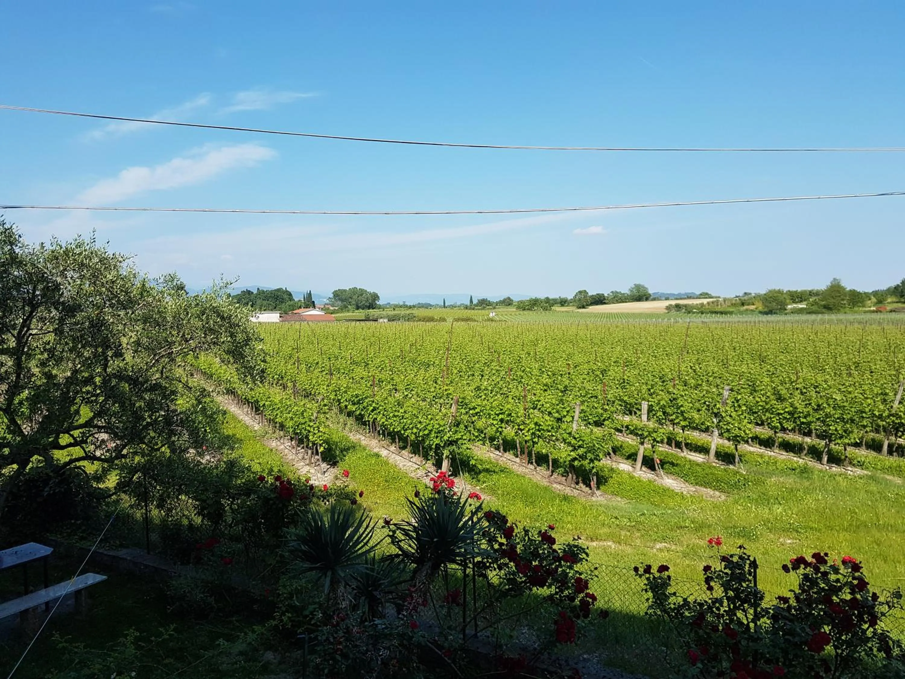 Off site in Albergo Mio Boutique Hotel - Adults Only