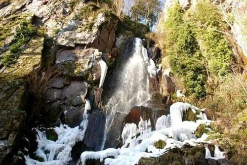 Natural landscape in Hostellerie Saint Florent