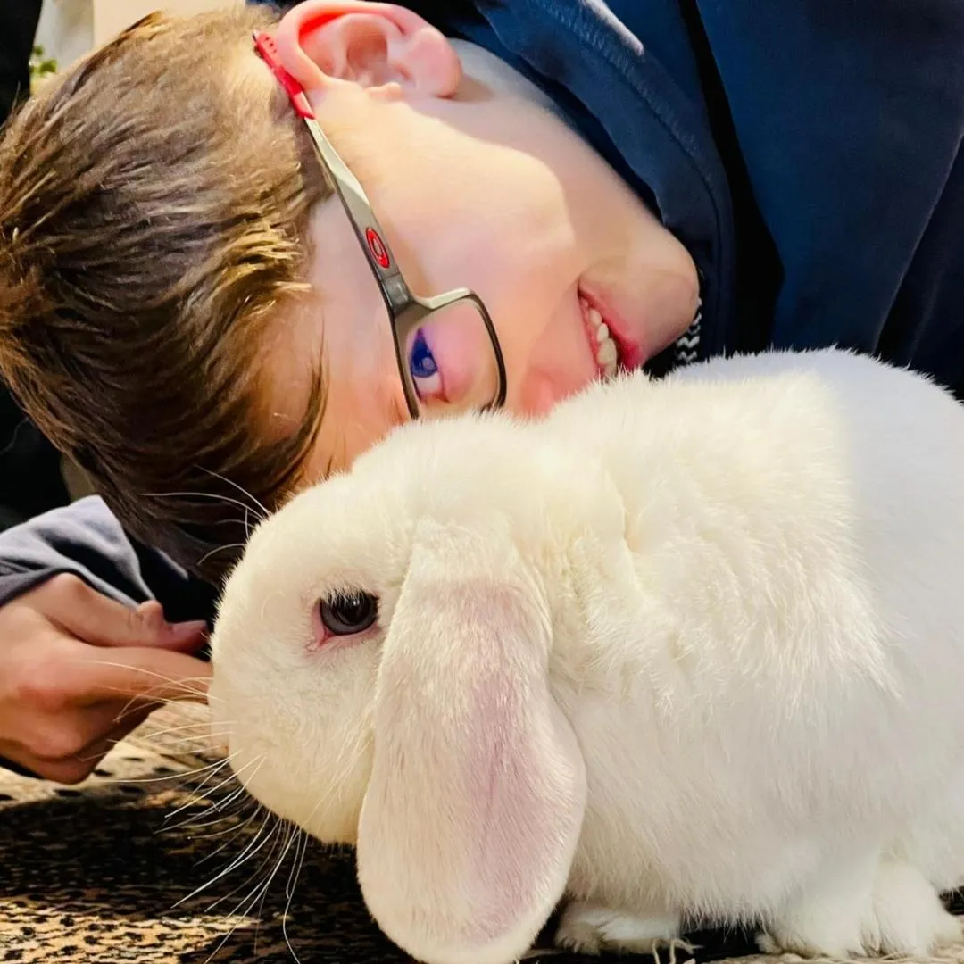 Pets in Hostellerie Saint Florent