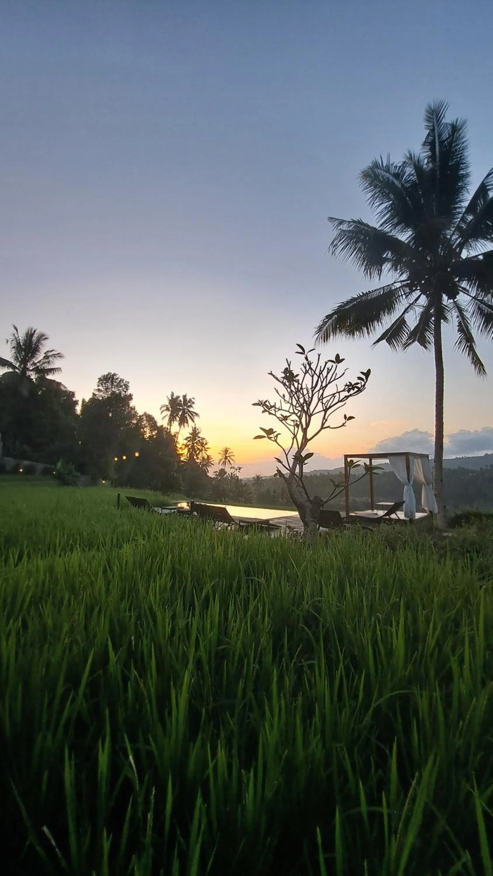 Restaurant/places to eat in Bali De Pardis Cottage