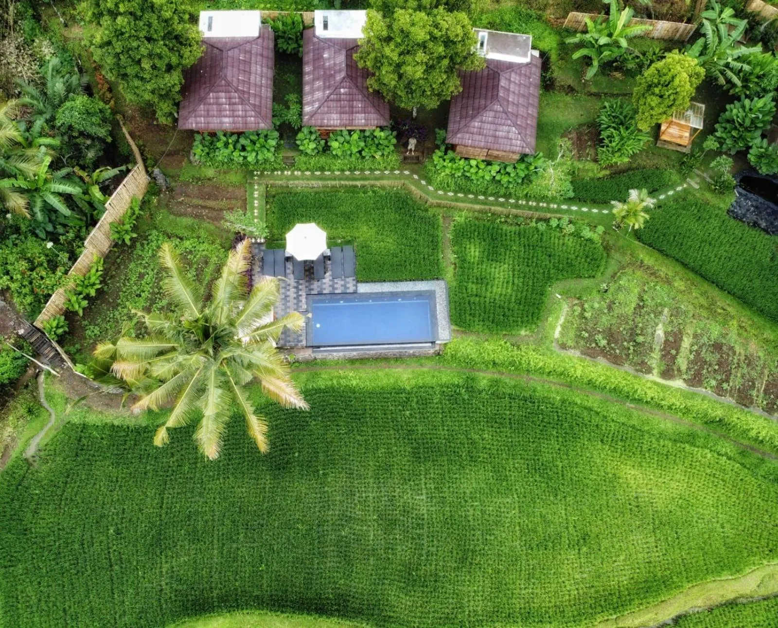 Bird's eye view in Bali De Pardis Cottage
