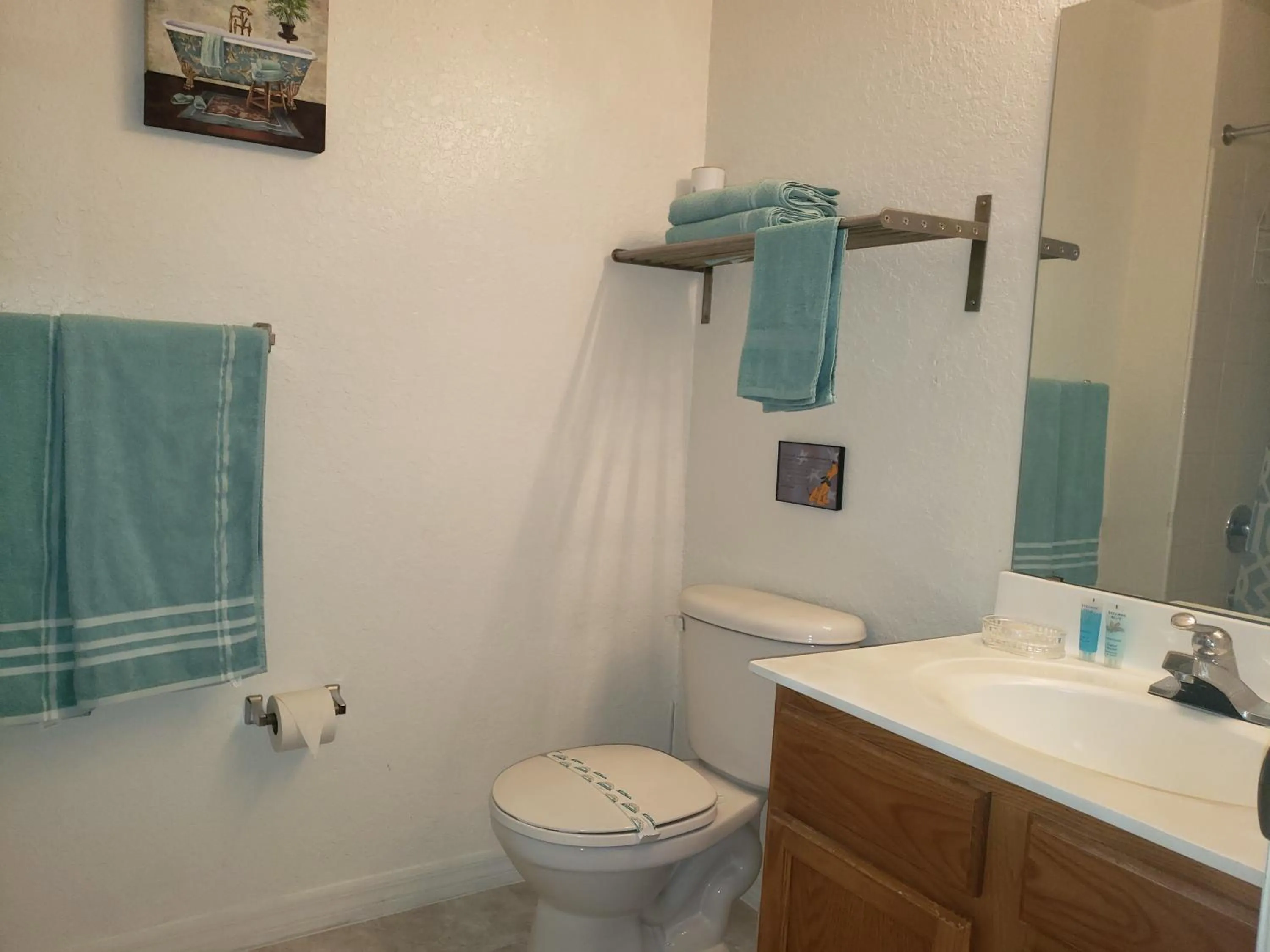 Kissimmee 3bed Villa Near Disney