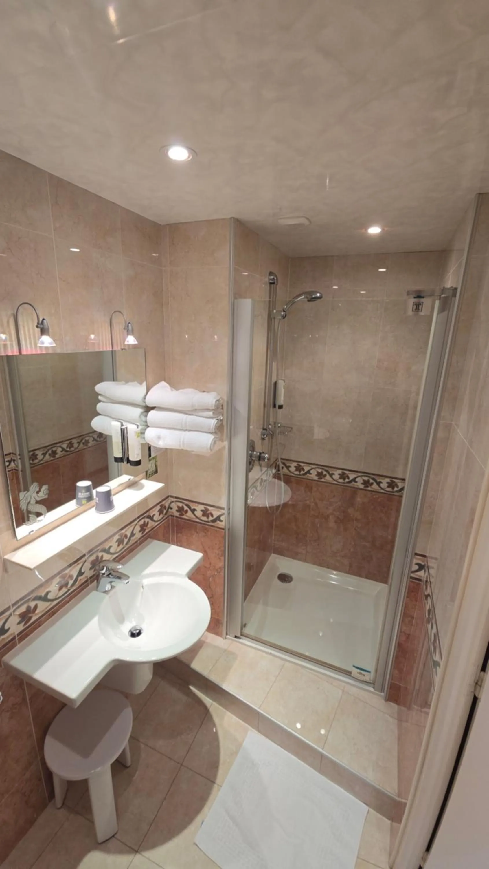 Shower in Logis Hôtel & Restaurant Arcombelle