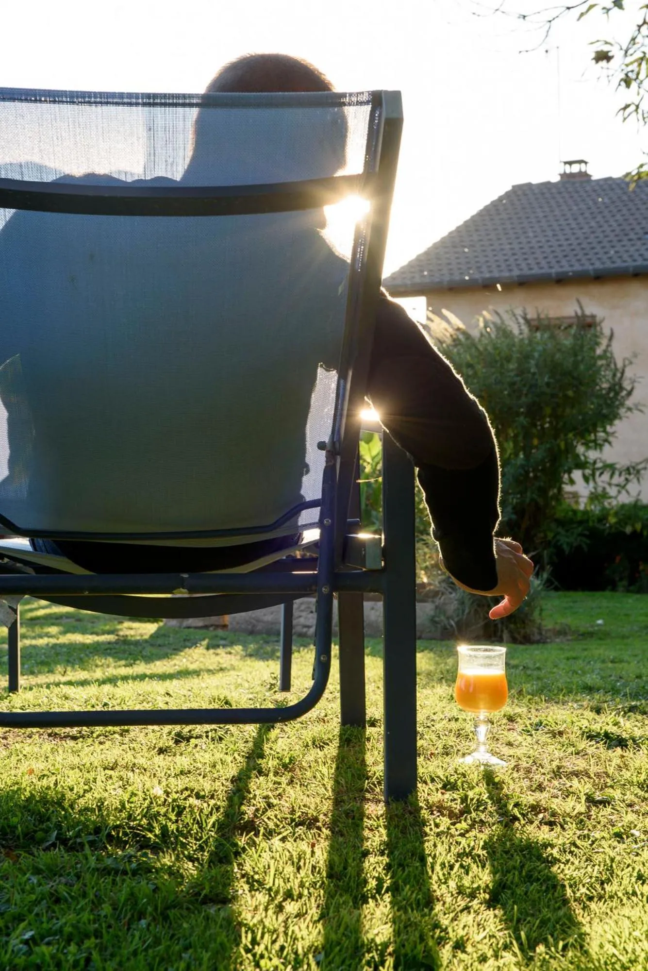 Garden in Hôtel du Moulin de la Brevette
