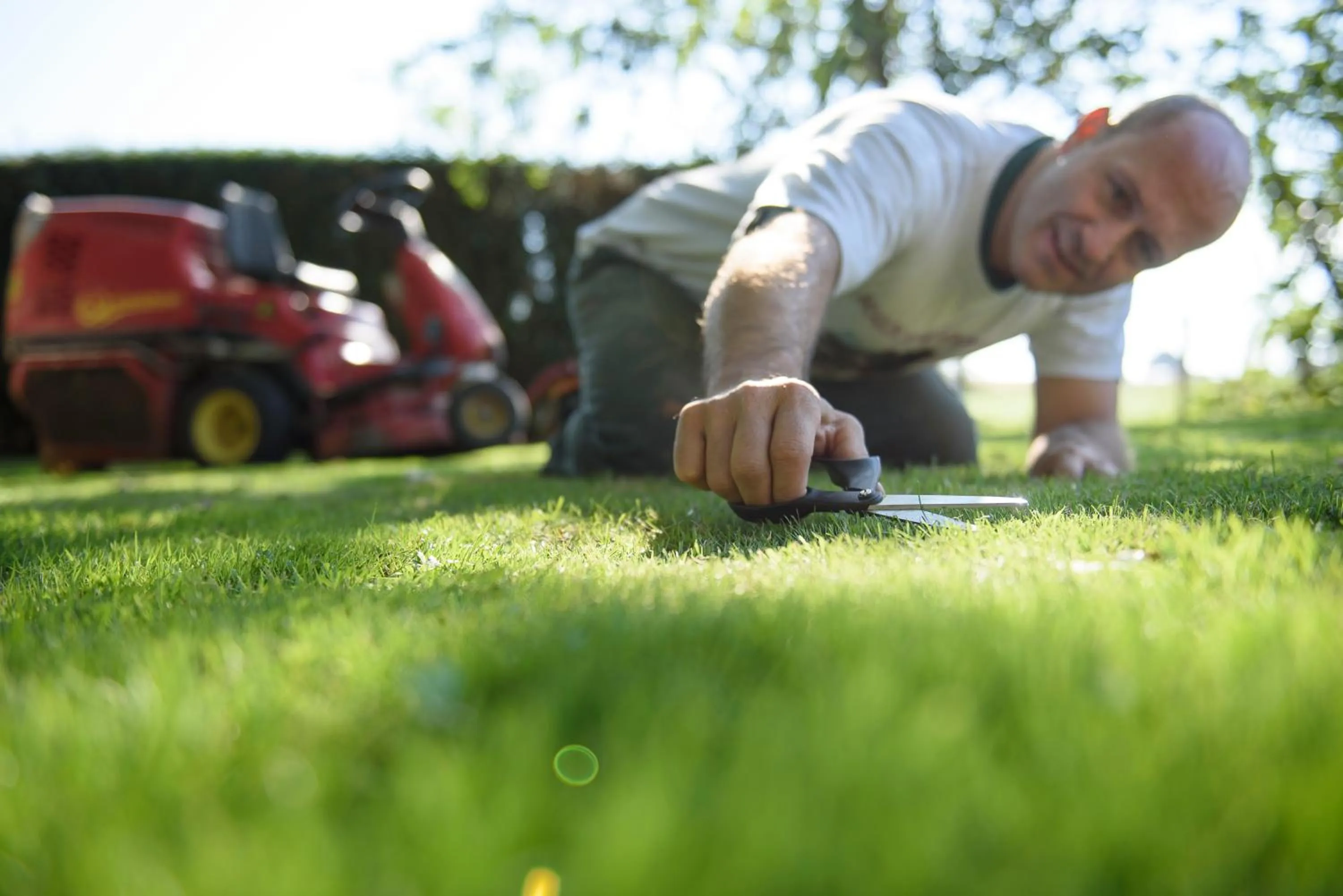 Garden in Hôtel du Moulin de la Brevette