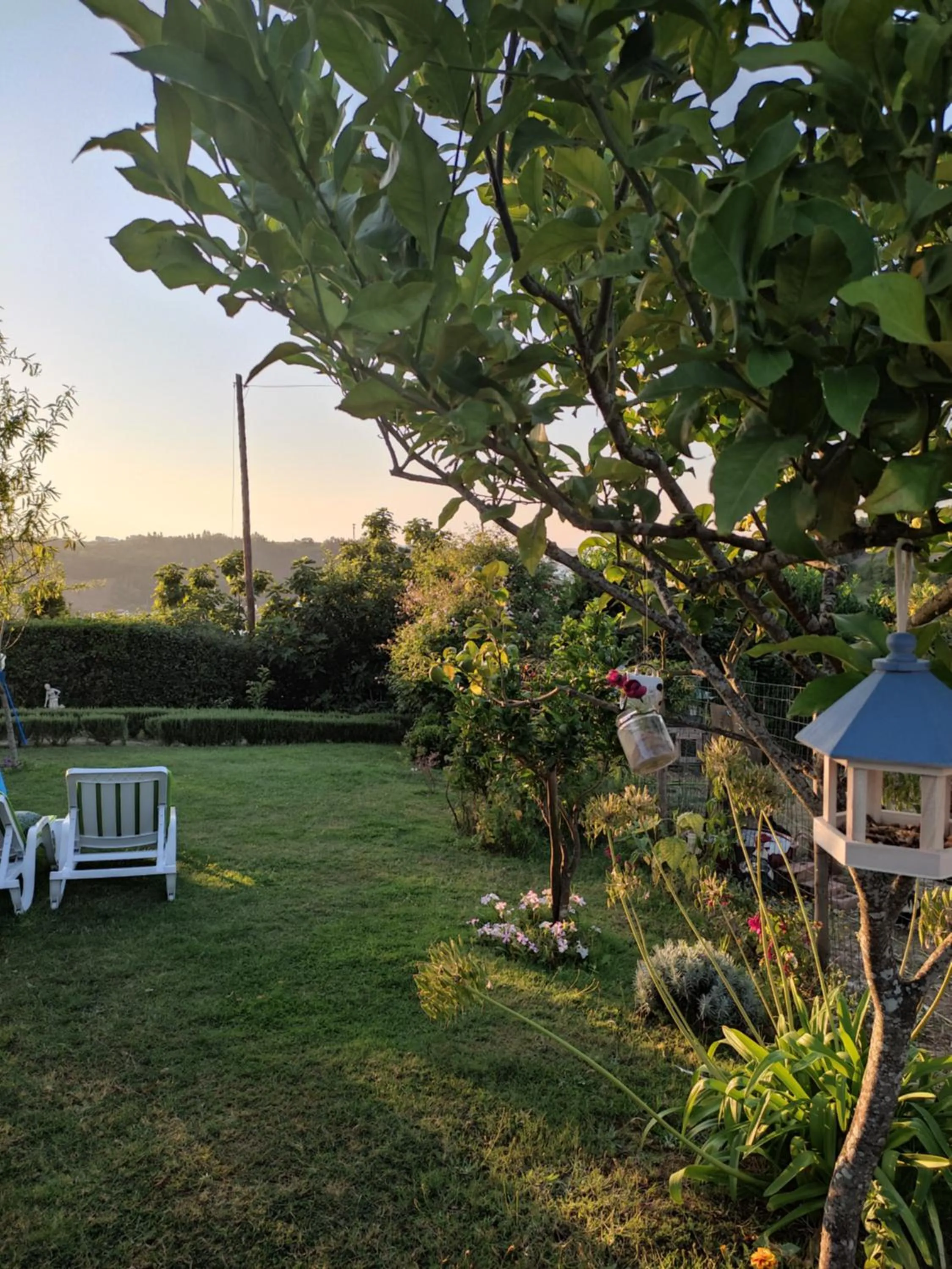 Garden view in Nature et al House - Casa para uso exclusivo e jardim - Little farm