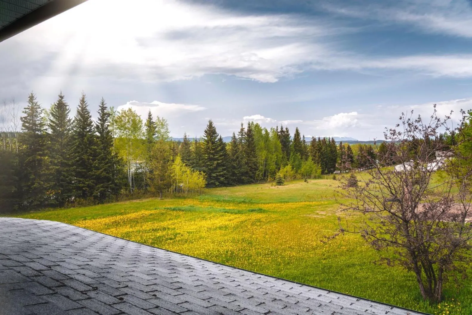 Willow Grove B&B Inn