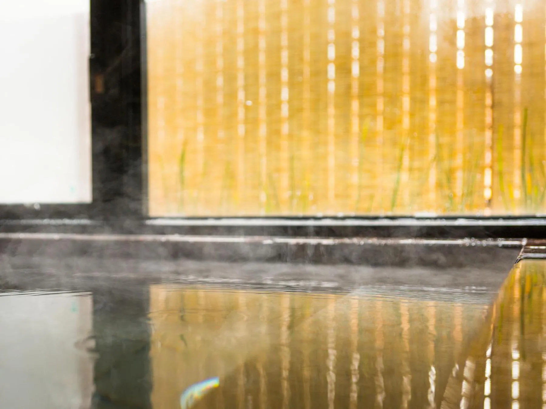 Hot Spring Bath in Super Hotel Tokyo Kinshicho Ekimae