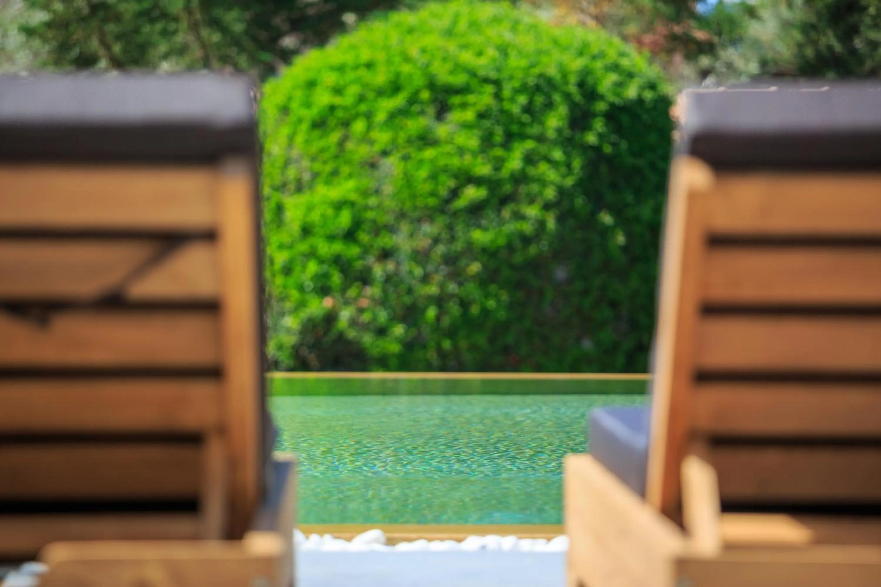 Garden in 180 South Seaside Hotel