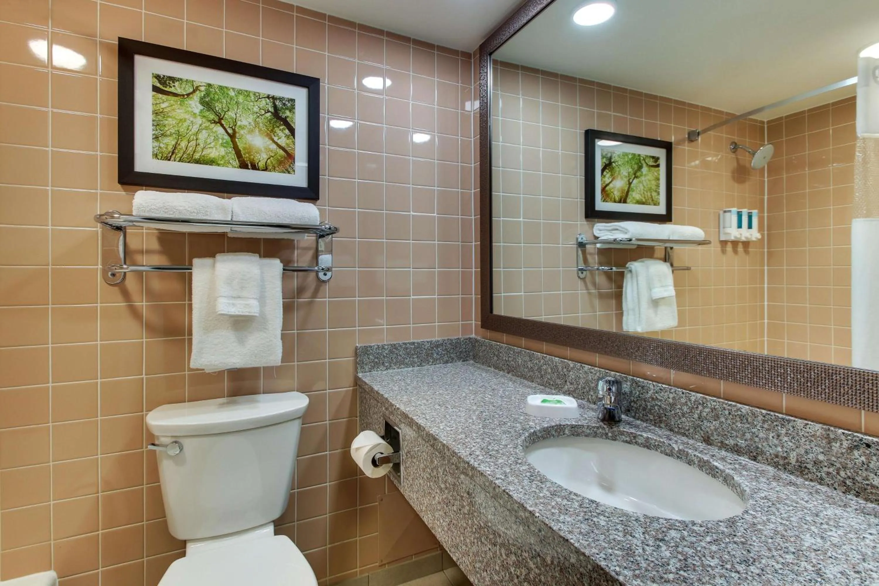 Bathroom in Pear Tree Inn St. Louis - Arnold