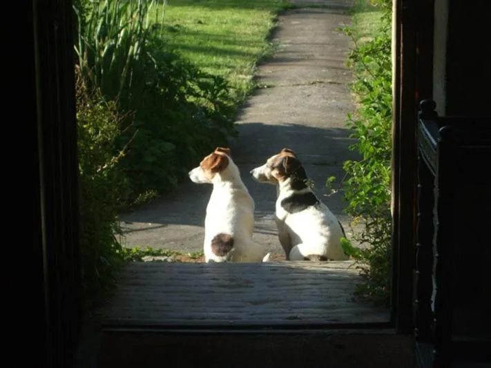 Other in Lower Severalls Farmhouse