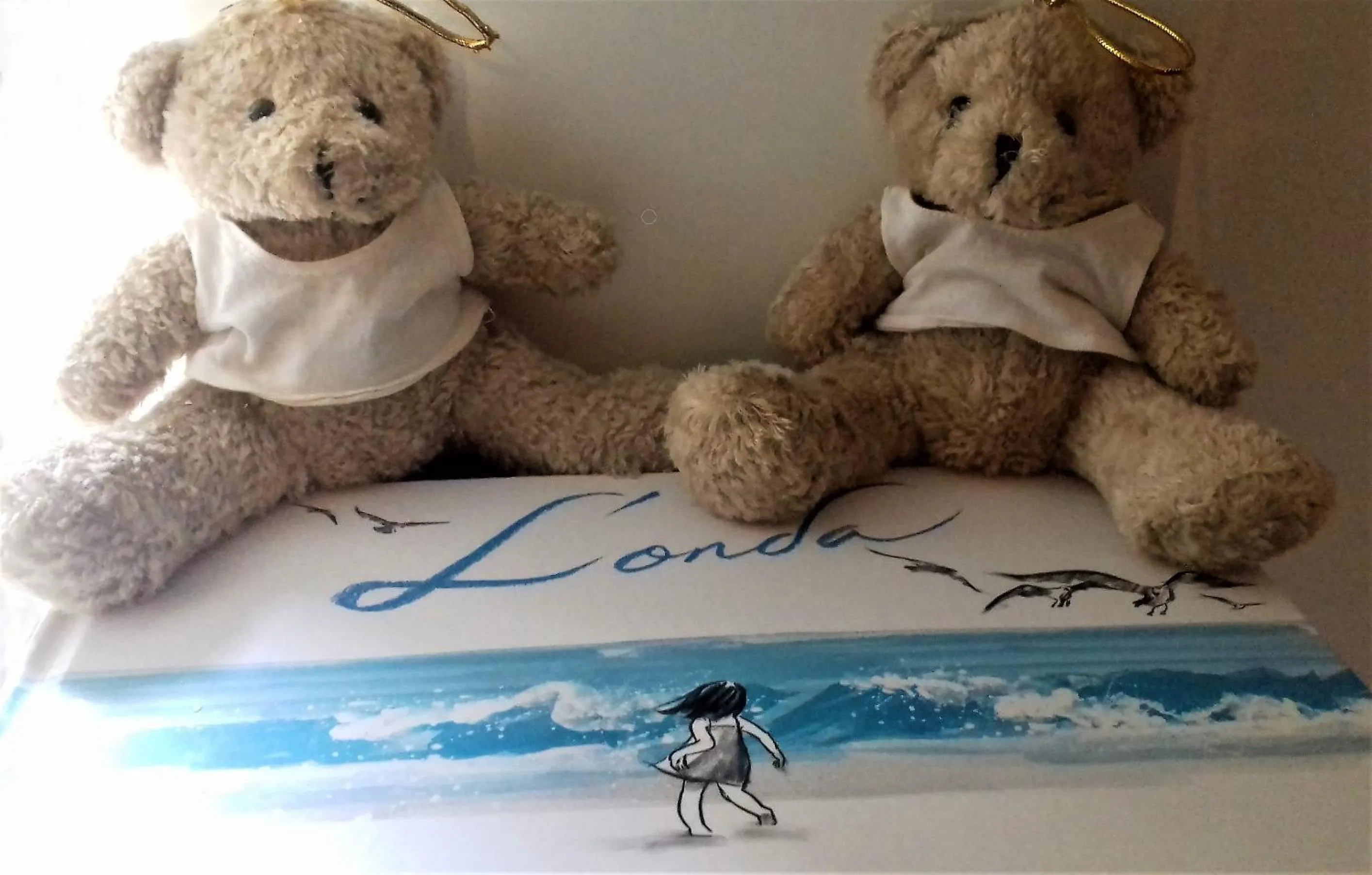 Library in B&B Torre Castellina