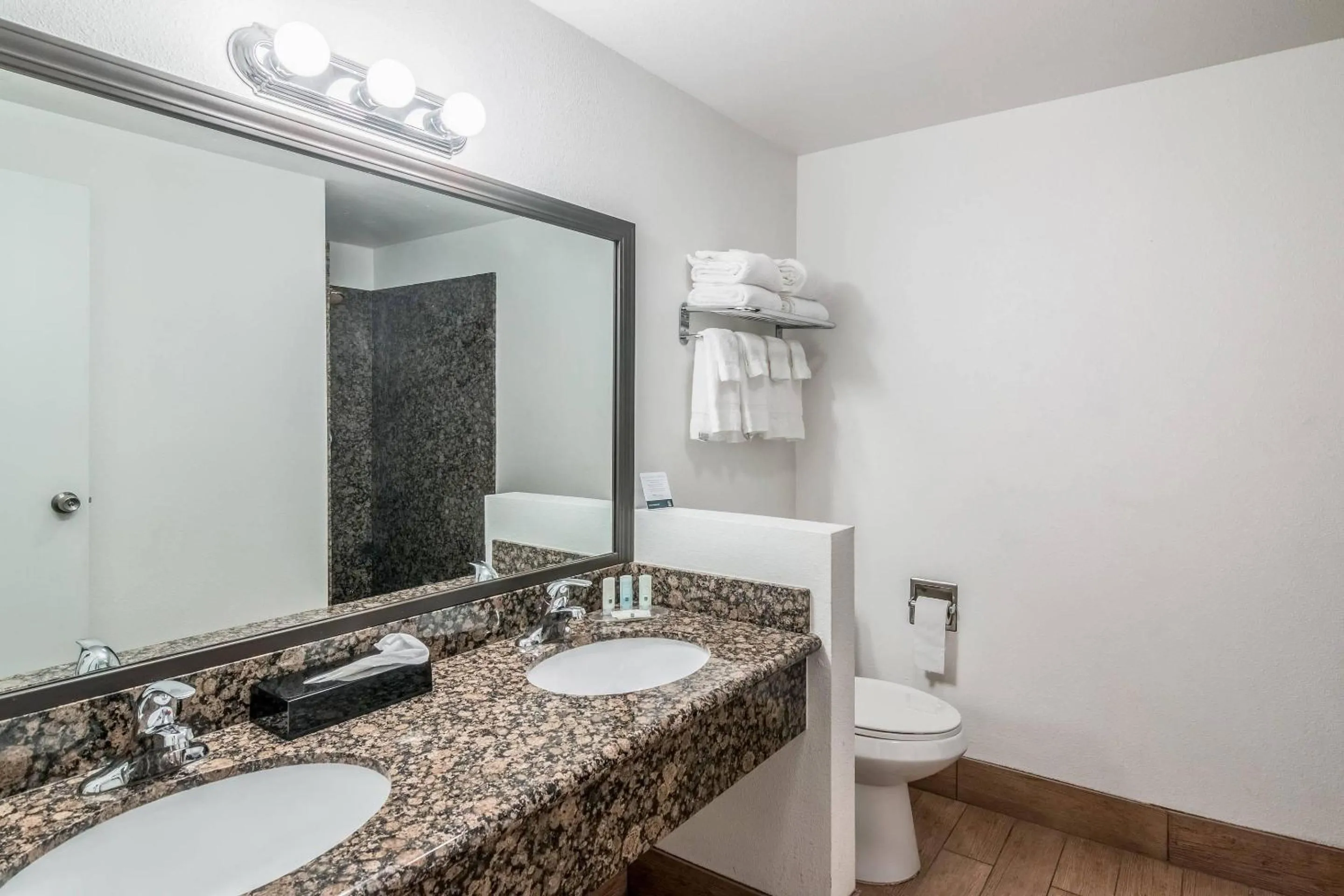 Toilet in Quality Inn & Suites near Downtown Bakersfield