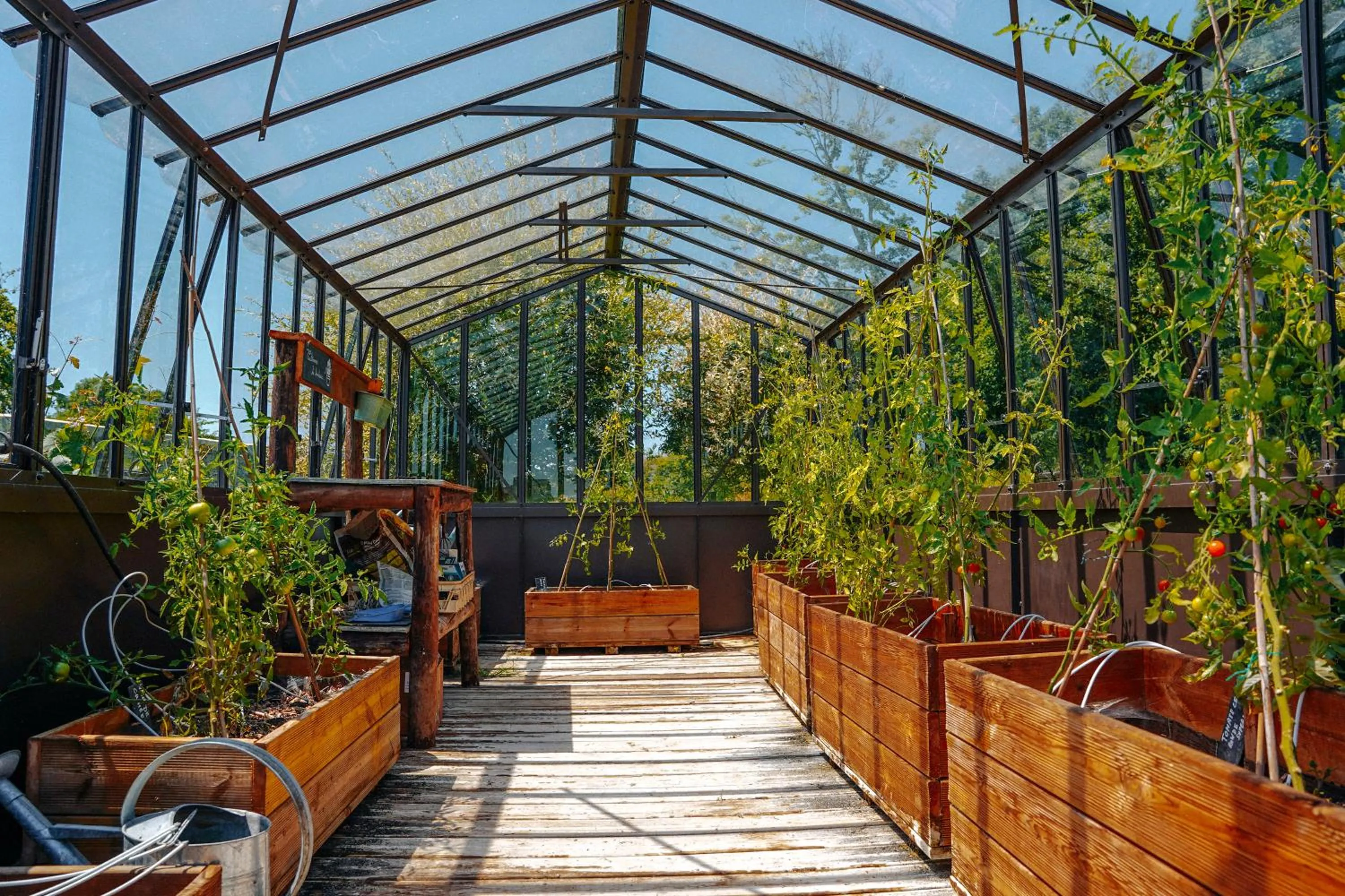 Garden in Château Saint Gilles - Bayeux