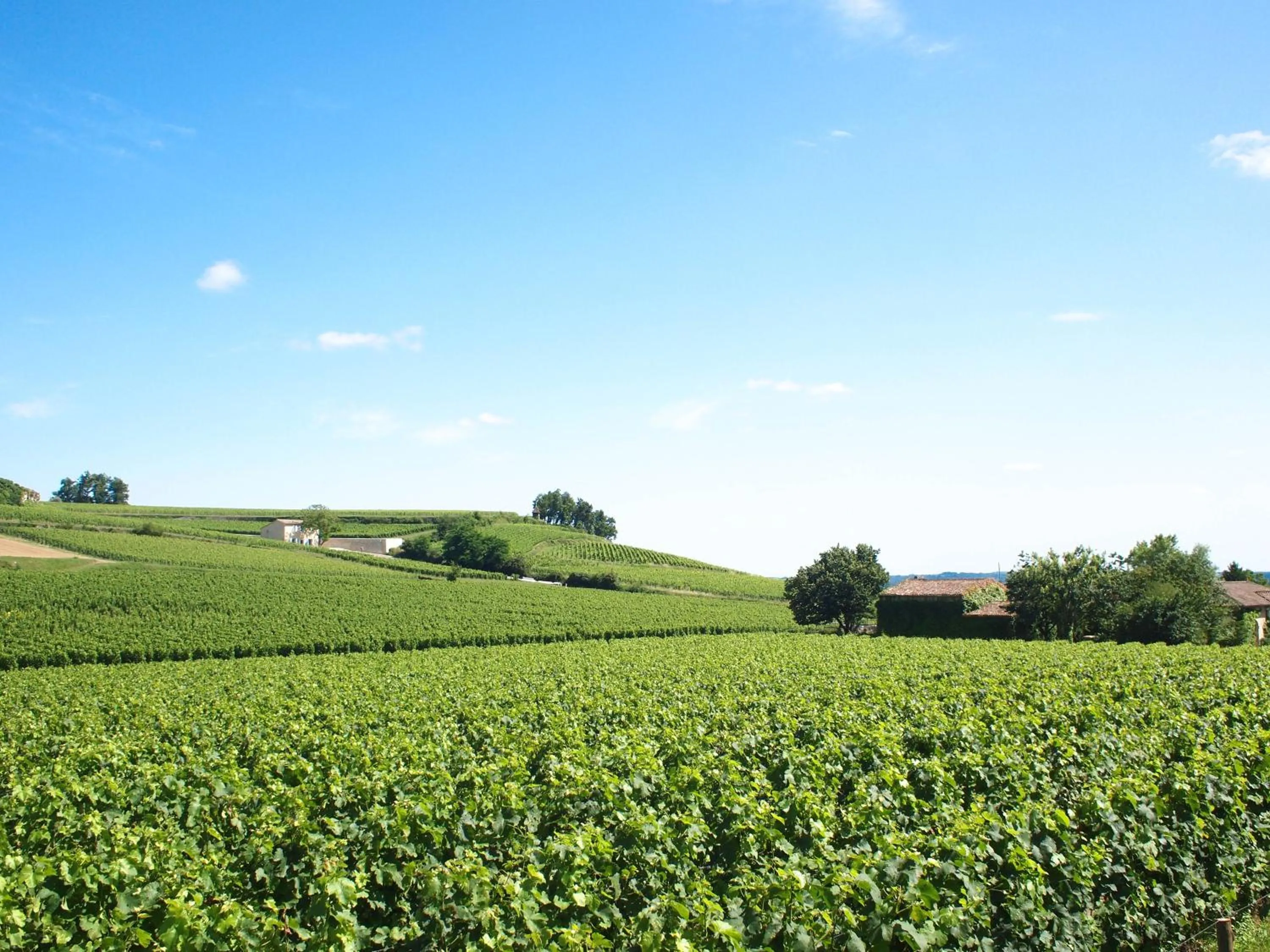 Nearby landmark in ibis Bordeaux Saint Emilion