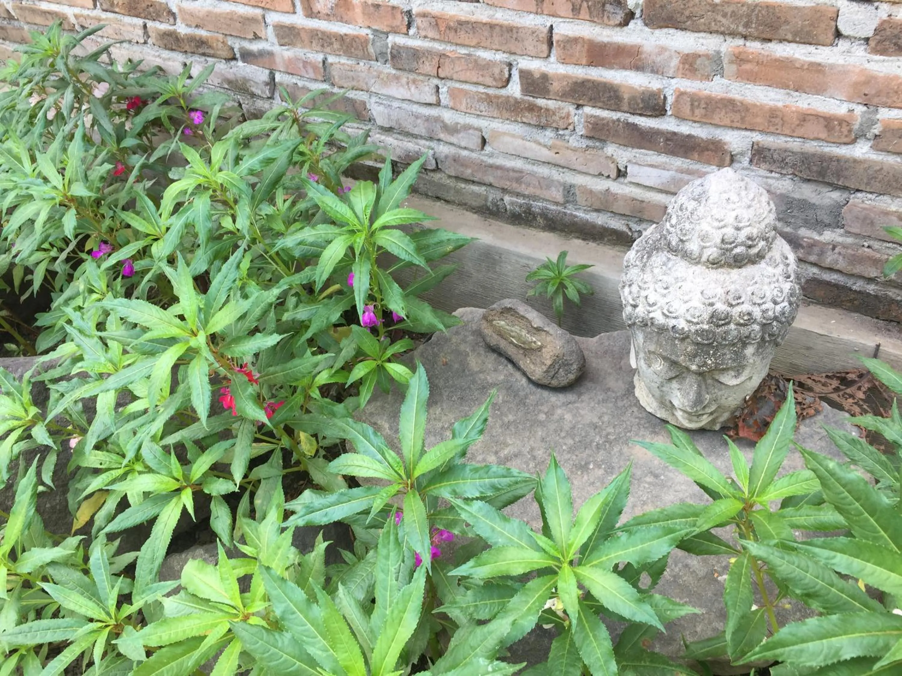 Saka Homestay Boutique & Cafe