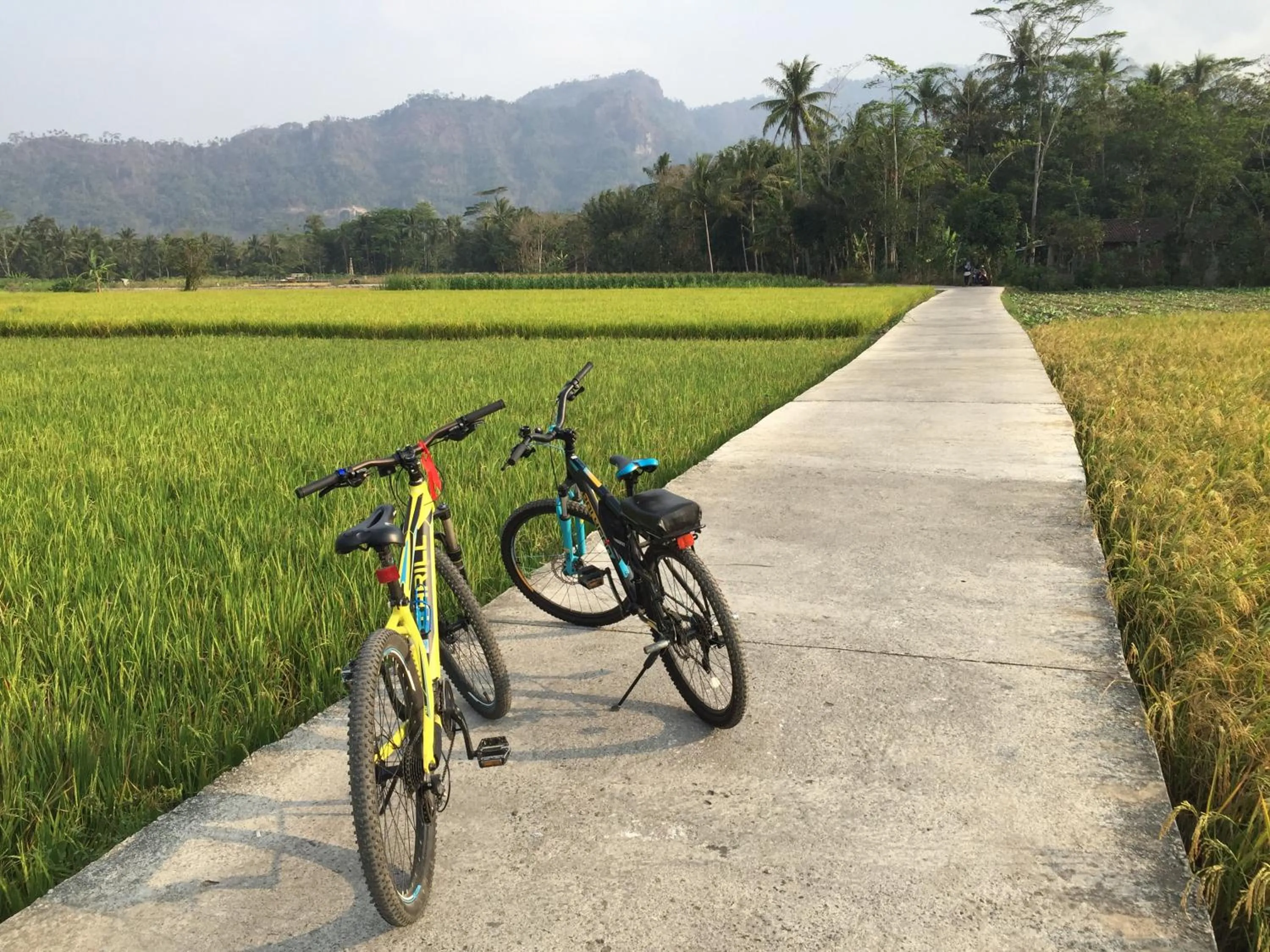 Saka Homestay Boutique & Cafe