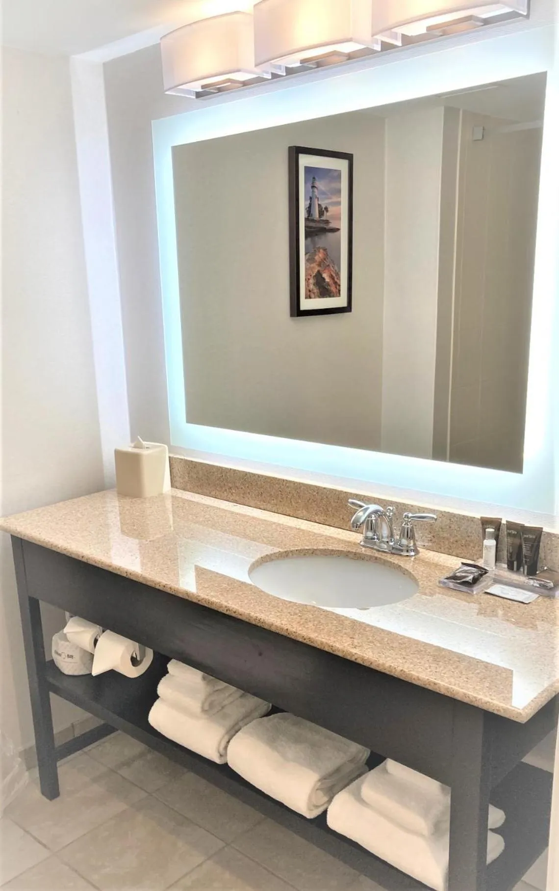 Bathroom in Wingate by Wyndham Erie