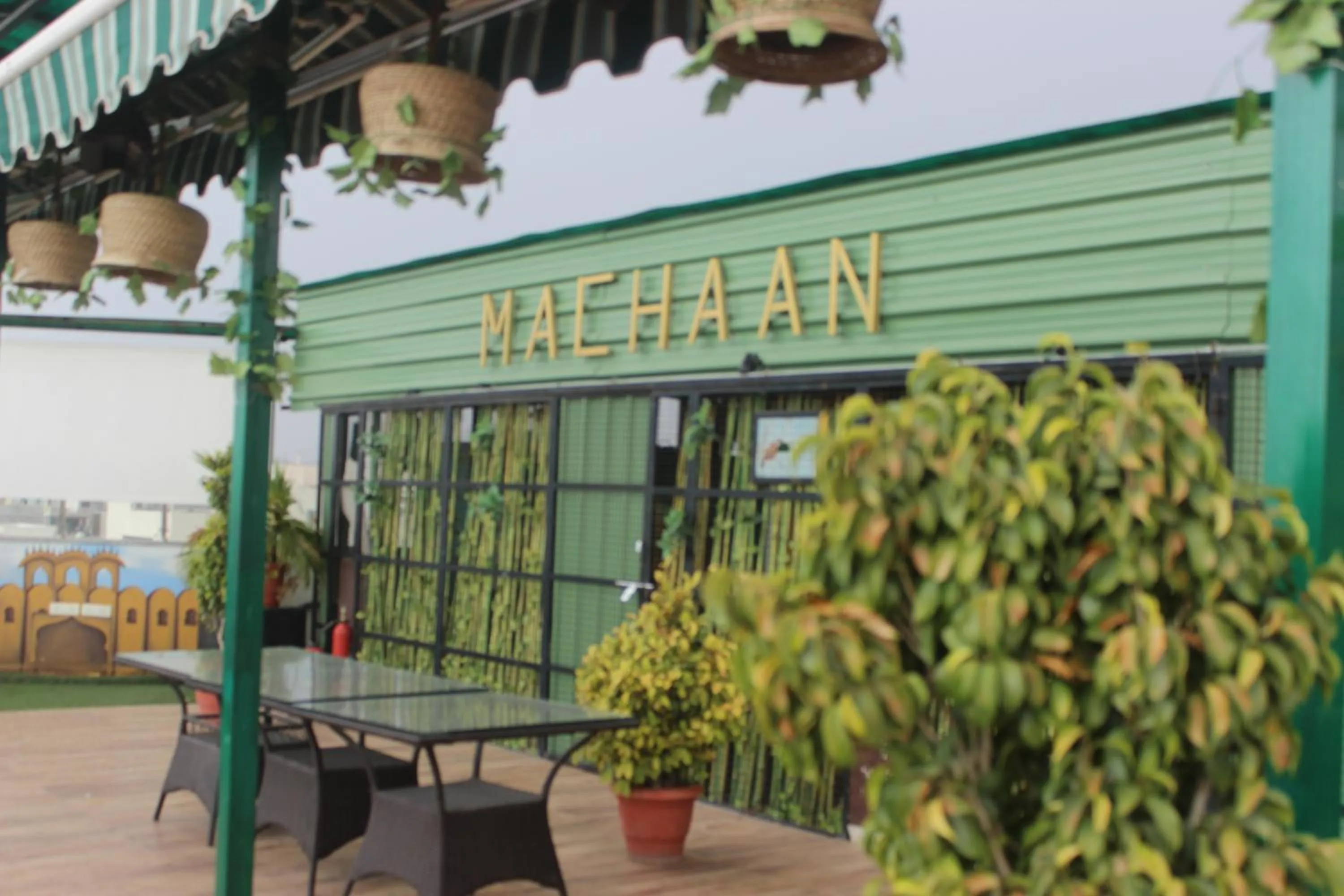 Balcony/Terrace in Hotel Safari