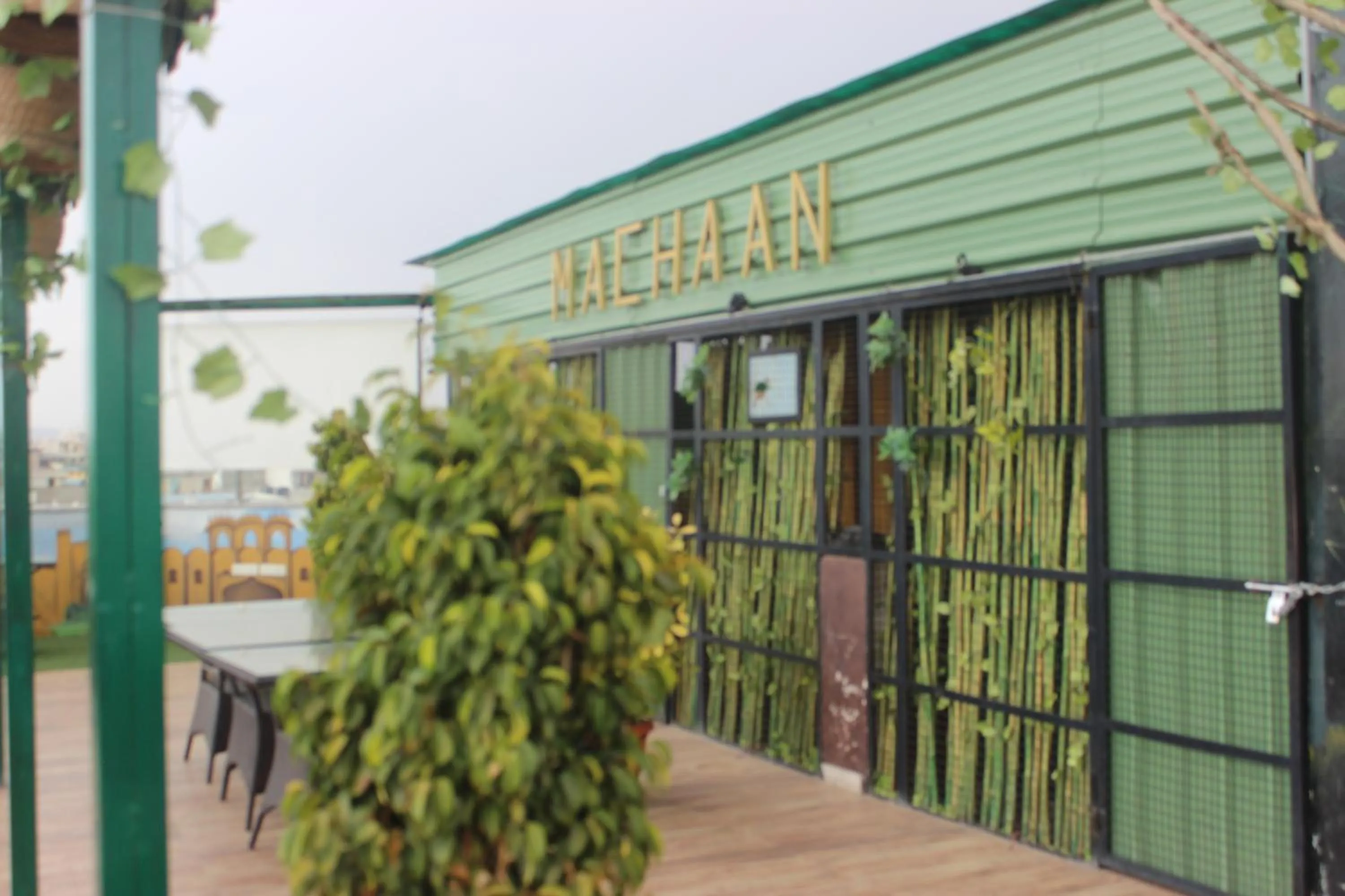 Balcony/Terrace in Hotel Safari