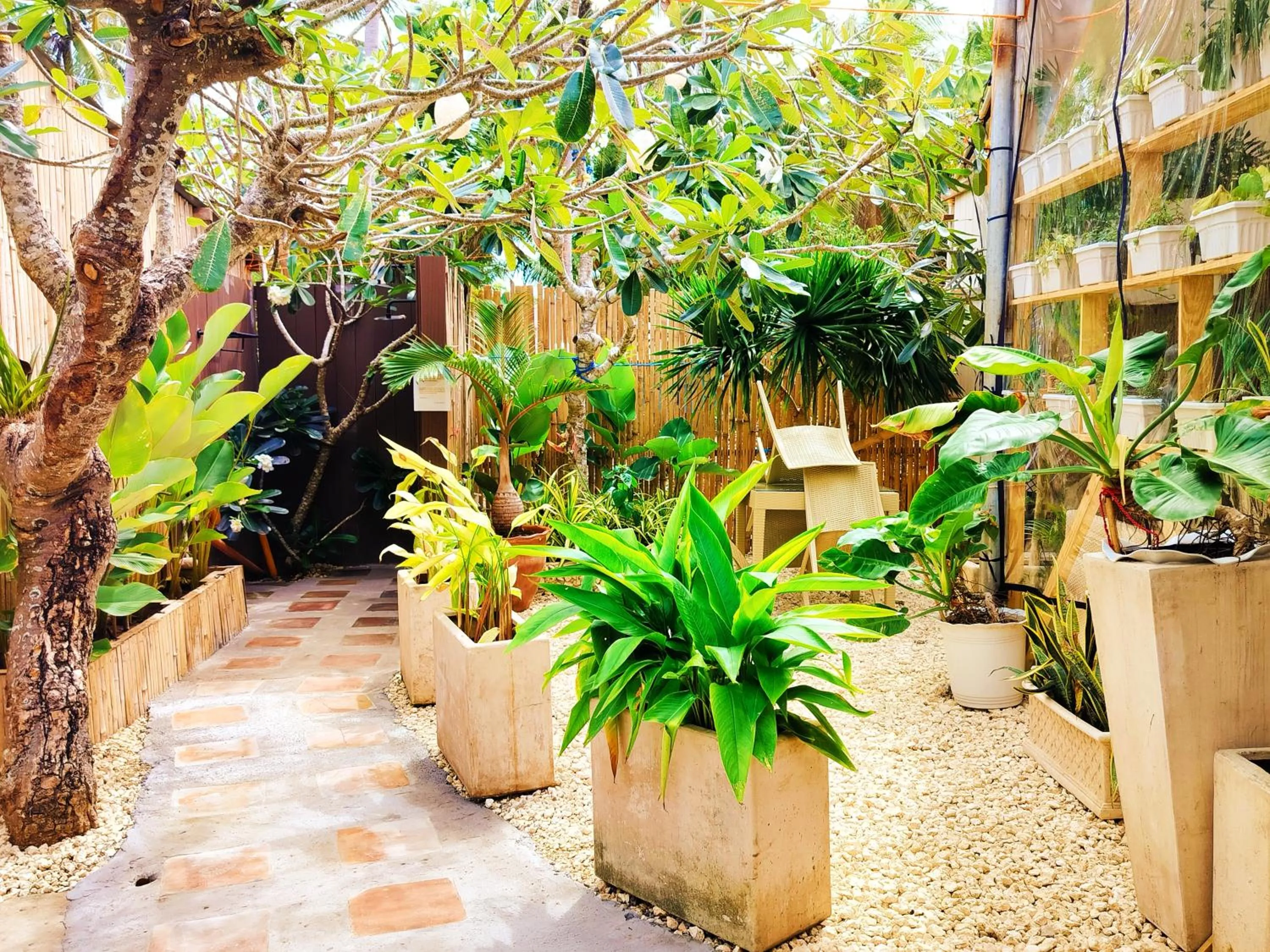 Property building in Swakihan Guest House