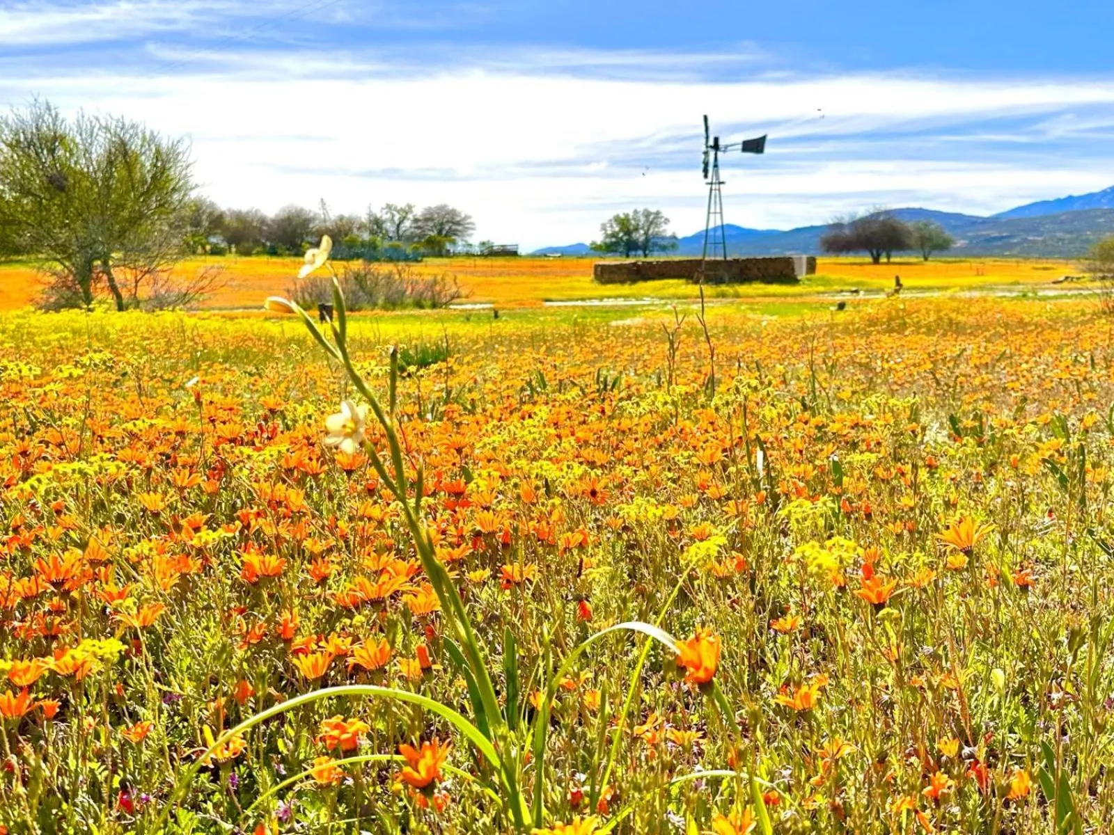 Natural landscape in Kliprand Guest House