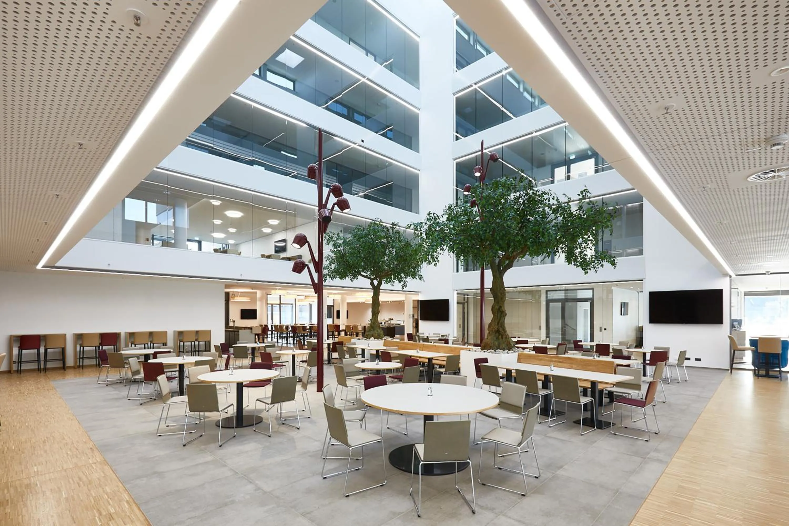 Restaurant/places to eat in Hotel Vivendi