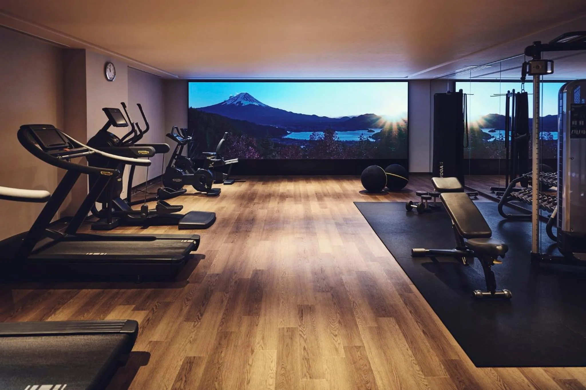 Fitness centre/facilities in Hotel Indigo Hakone Gora by IHG