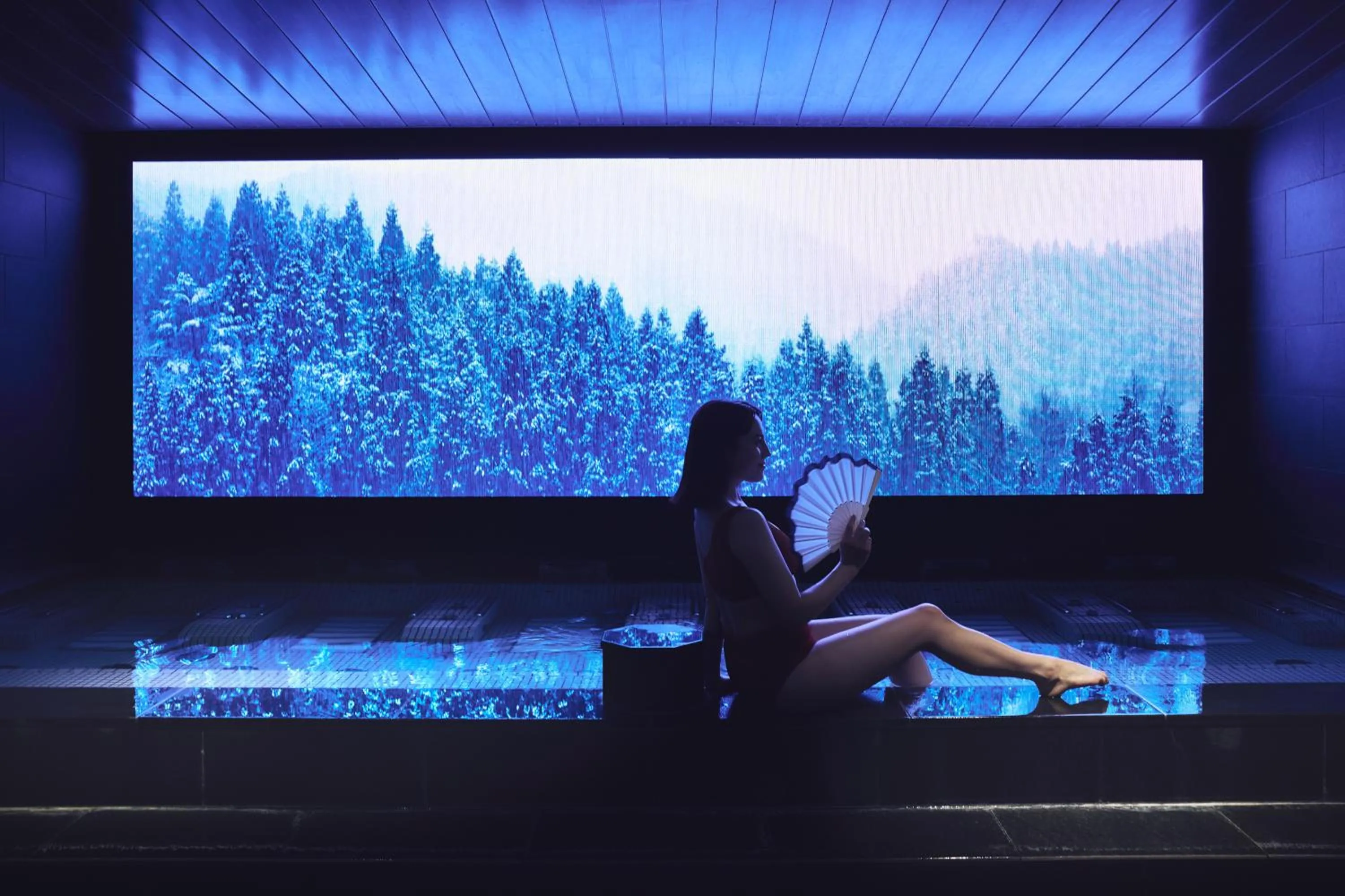 Hot Spring Bath in Hotel Indigo Hakone Gora by IHG