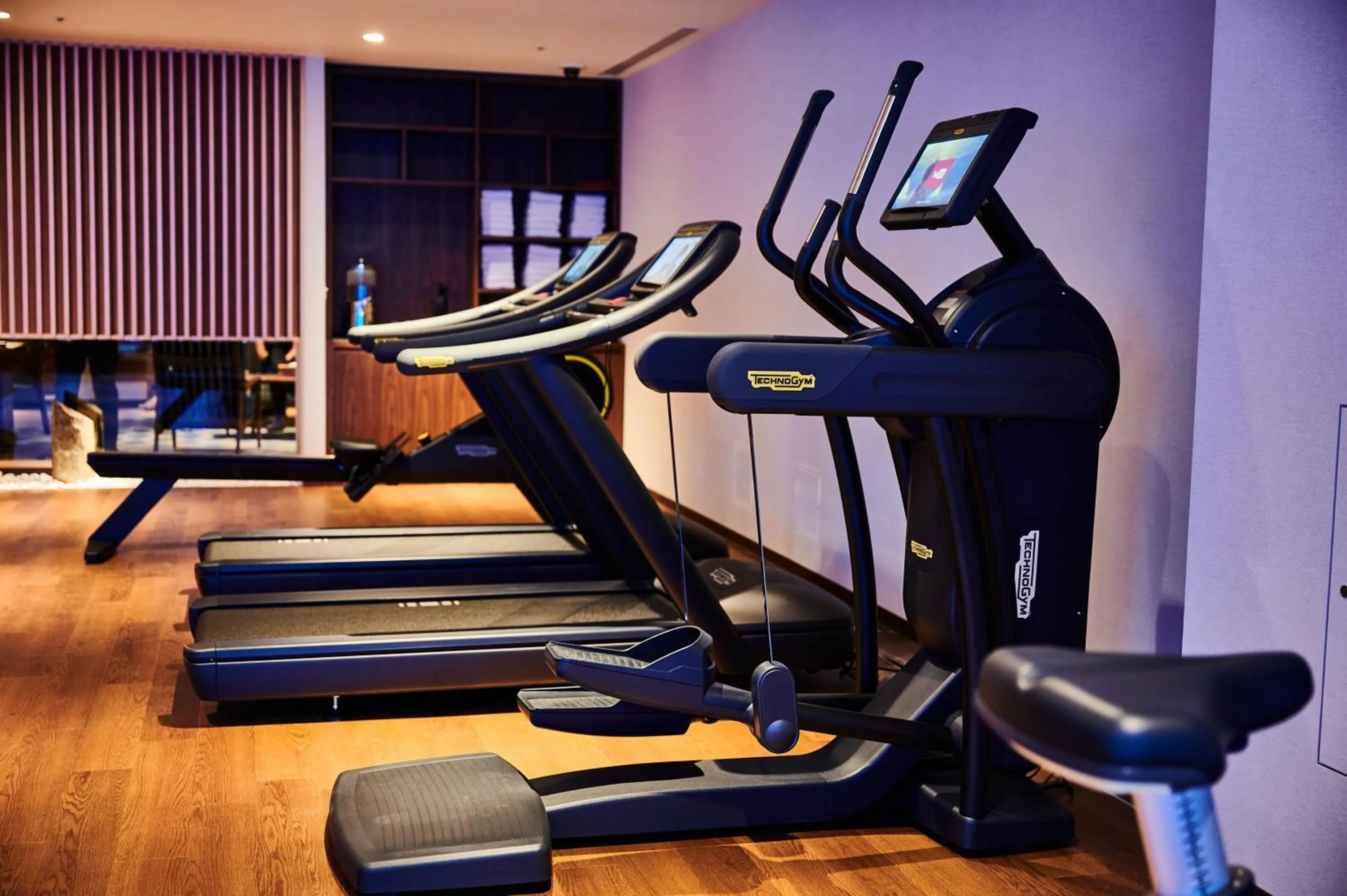 Fitness centre/facilities in Hotel Indigo Hakone Gora by IHG