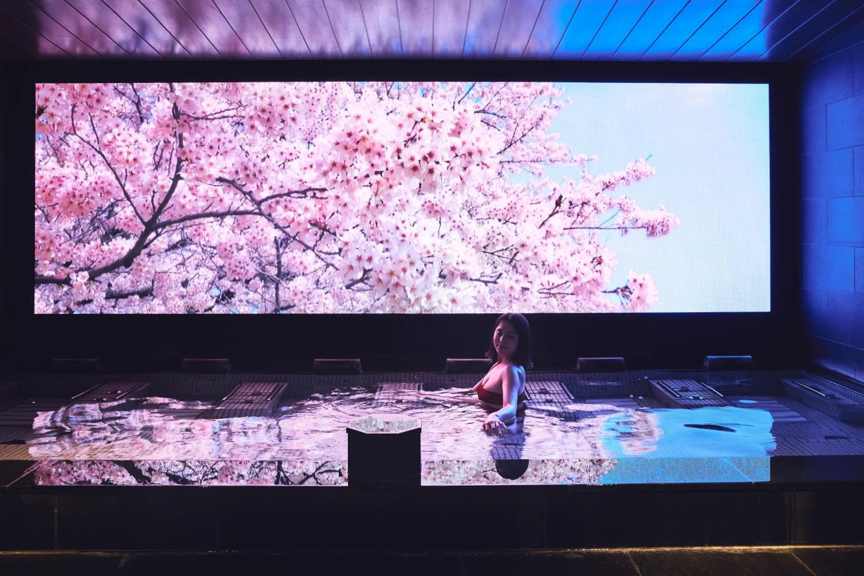 Hot Spring Bath in Hotel Indigo Hakone Gora by IHG