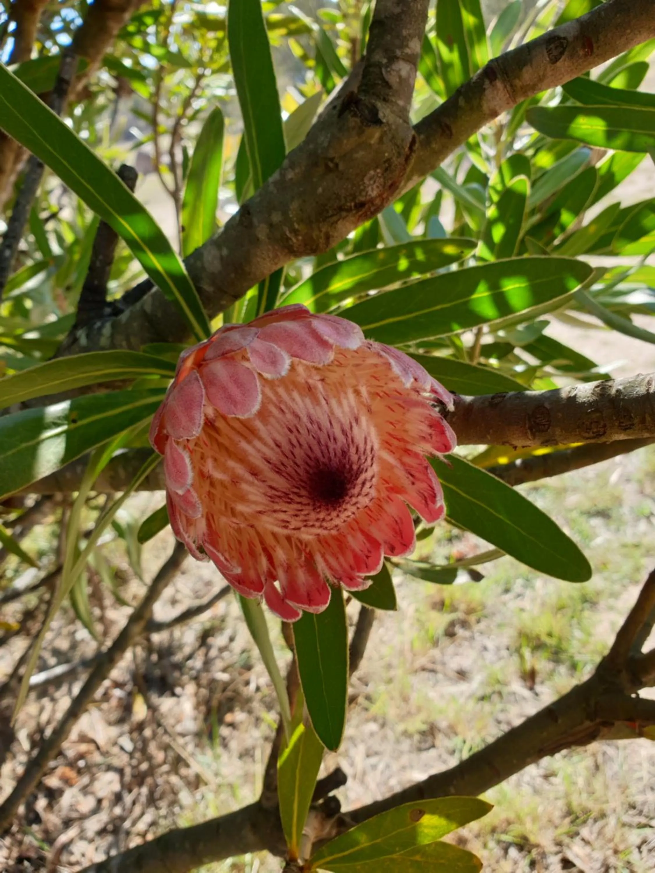 Natural landscape in R & R On The Ravine
