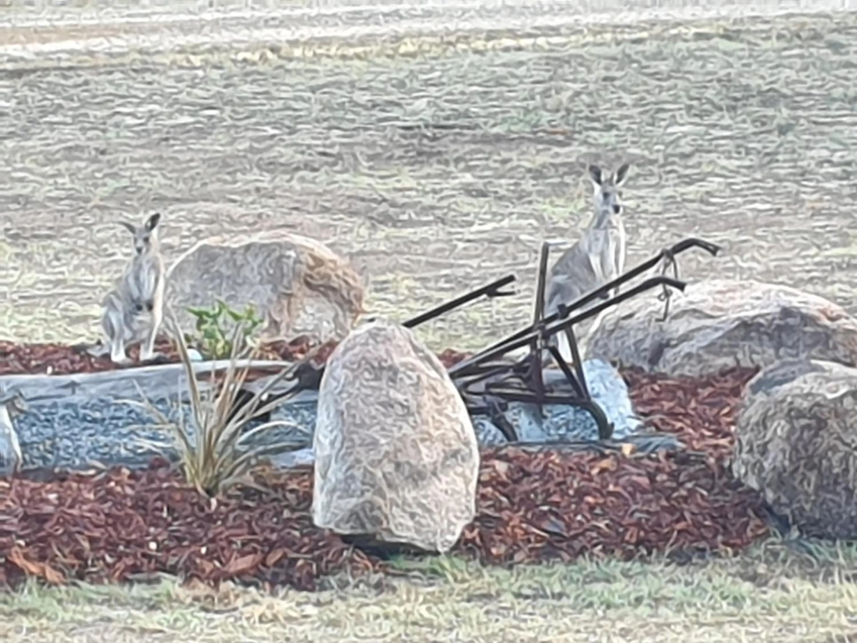 Natural landscape in R & R On The Ravine