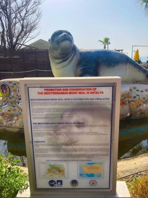 Hiking in Karden Otel