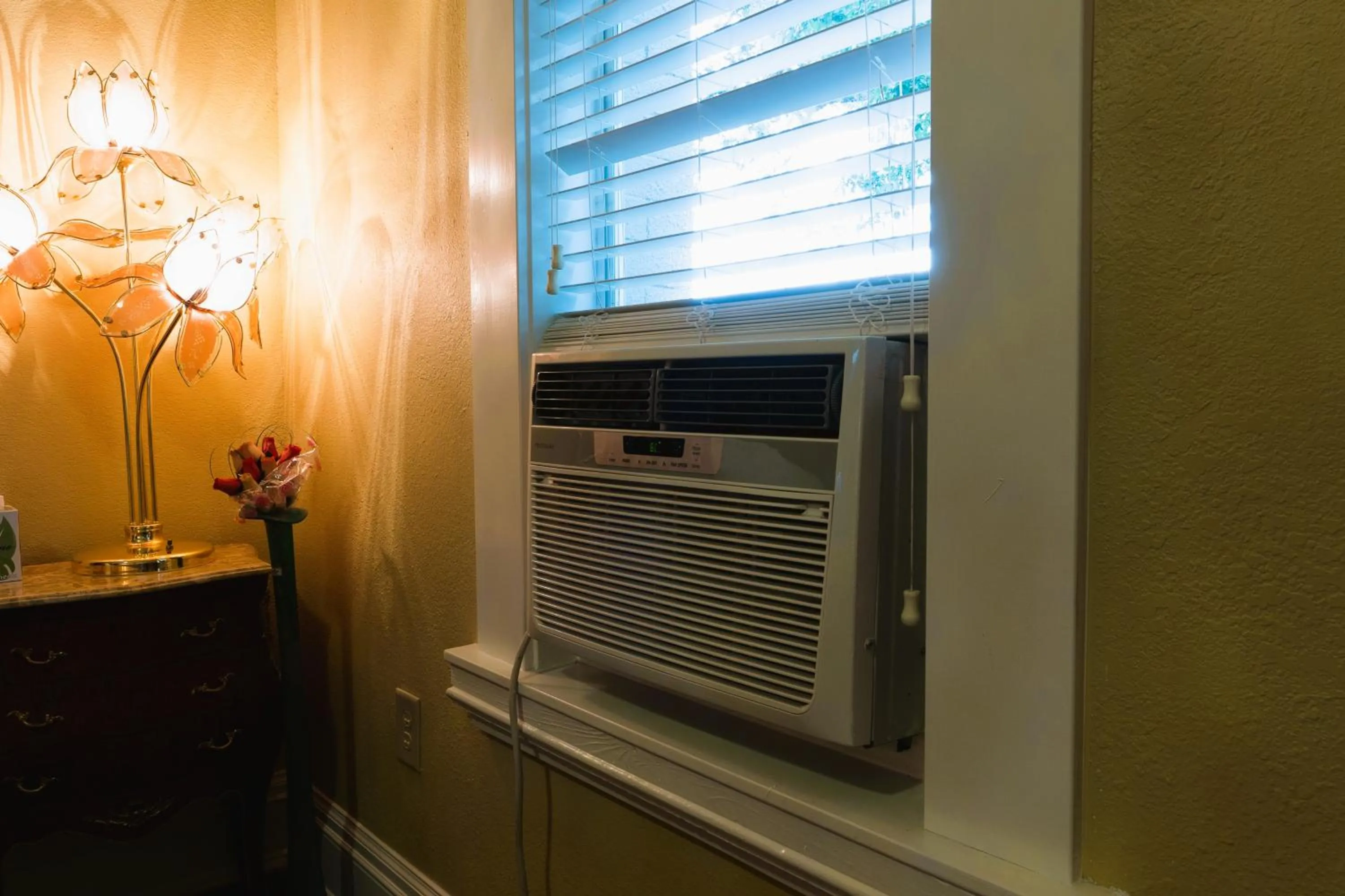 Area and facilities in Oak Tree Hotel