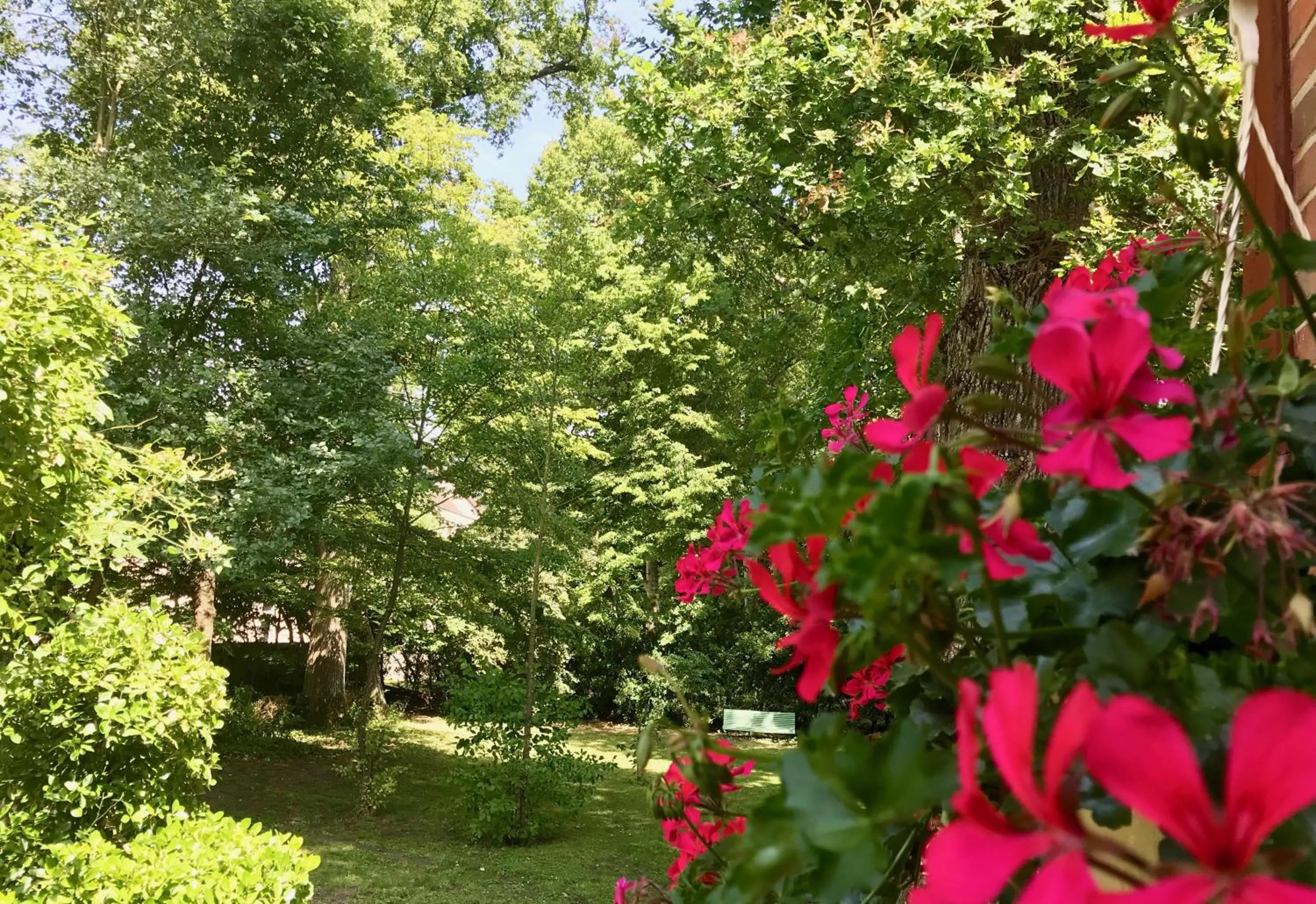 Garden in LA MAISON LEONARD