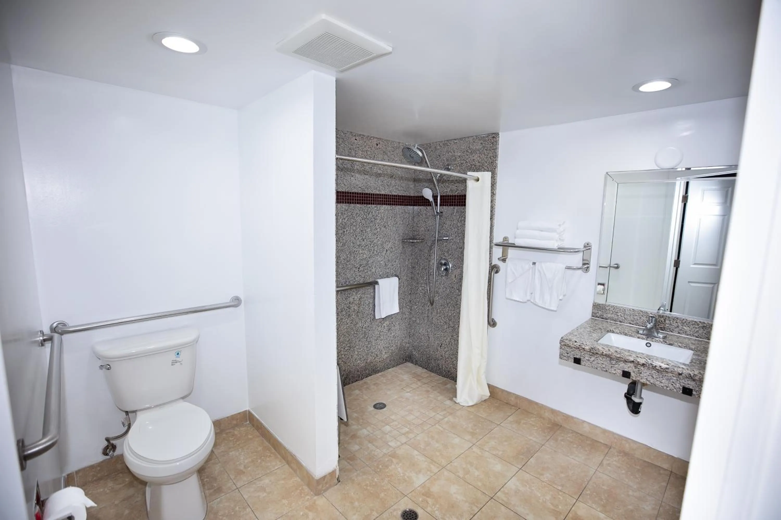 Bathroom in Rodeway Inn & Suites