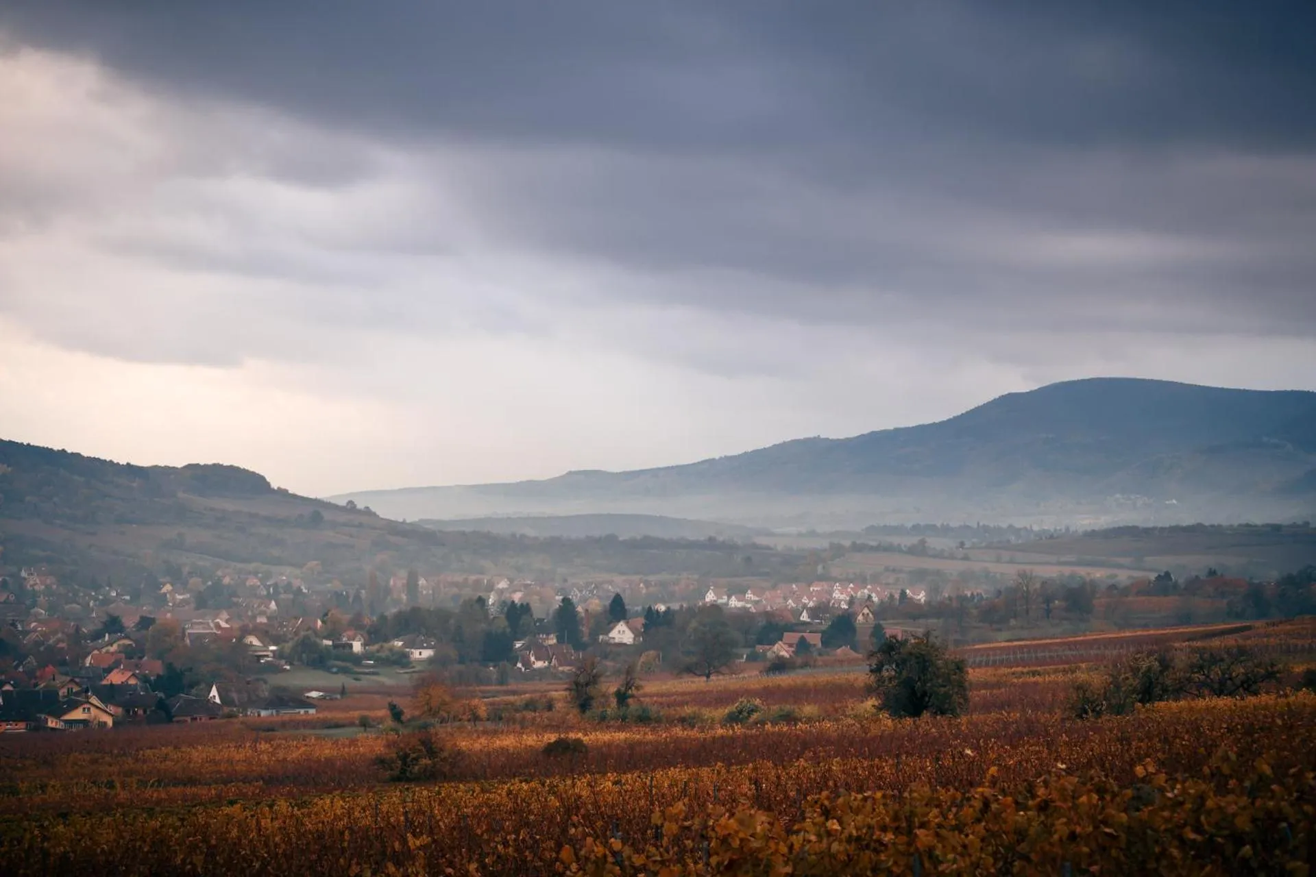 Natural landscape in Le Rosenmeer - Hotel Restaurant, au coeur de la route des vins d'Alsace