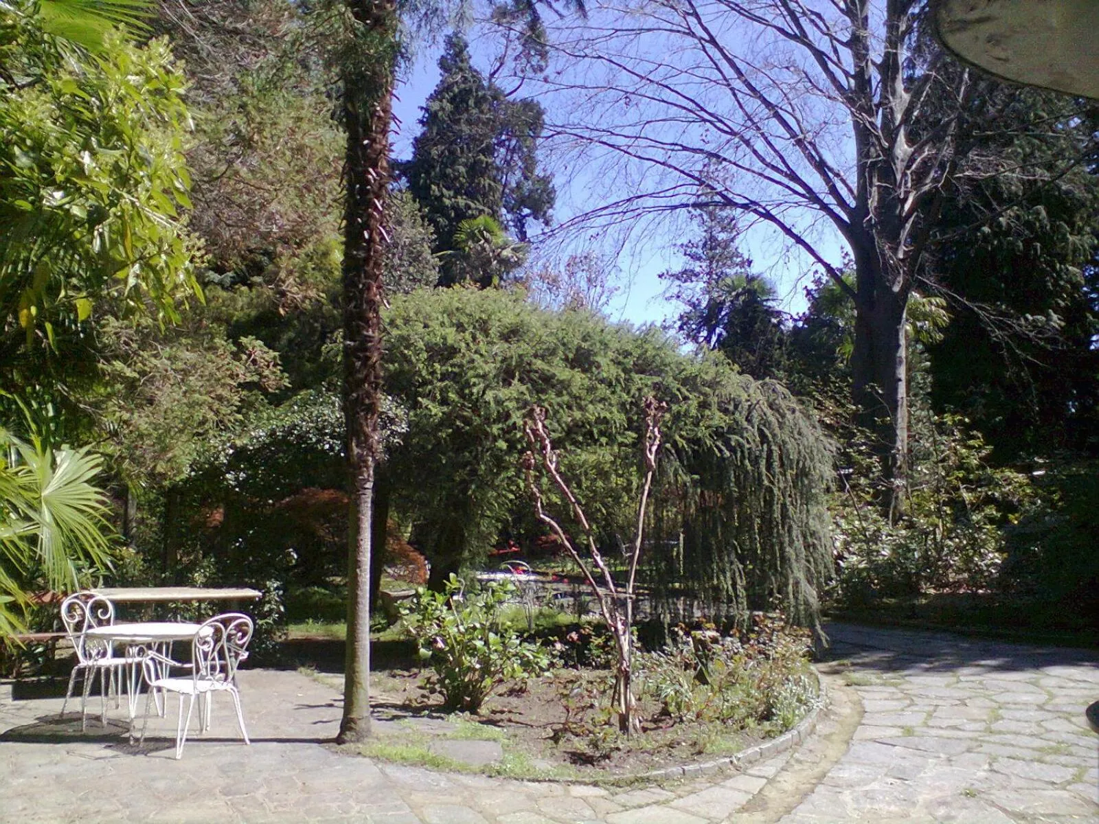 Garden in B&B Villa Margherita