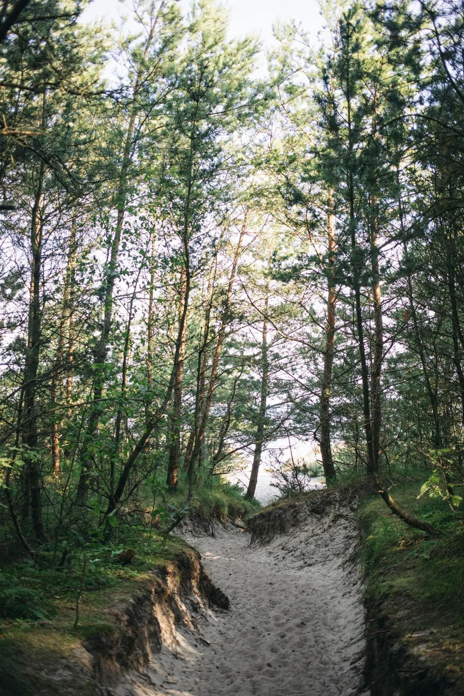 Neighbourhood in Hotel Saltic Resort & Spa Grzybowo