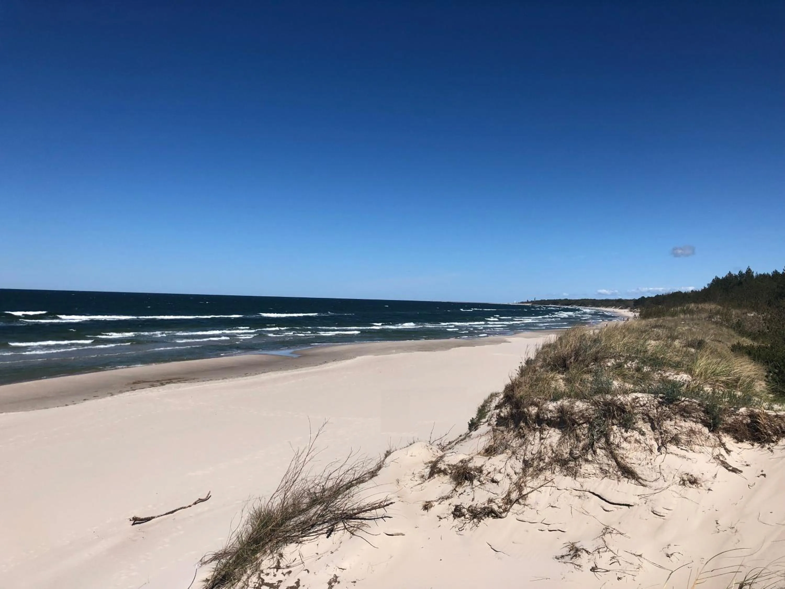 Natural landscape in Hotel Saltic Resort & Spa Grzybowo